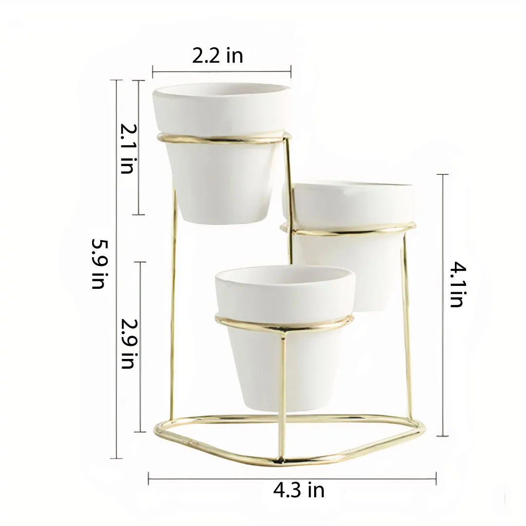 3 in 1 Tabletop Houseplant Mini Pottery Planters with Stand