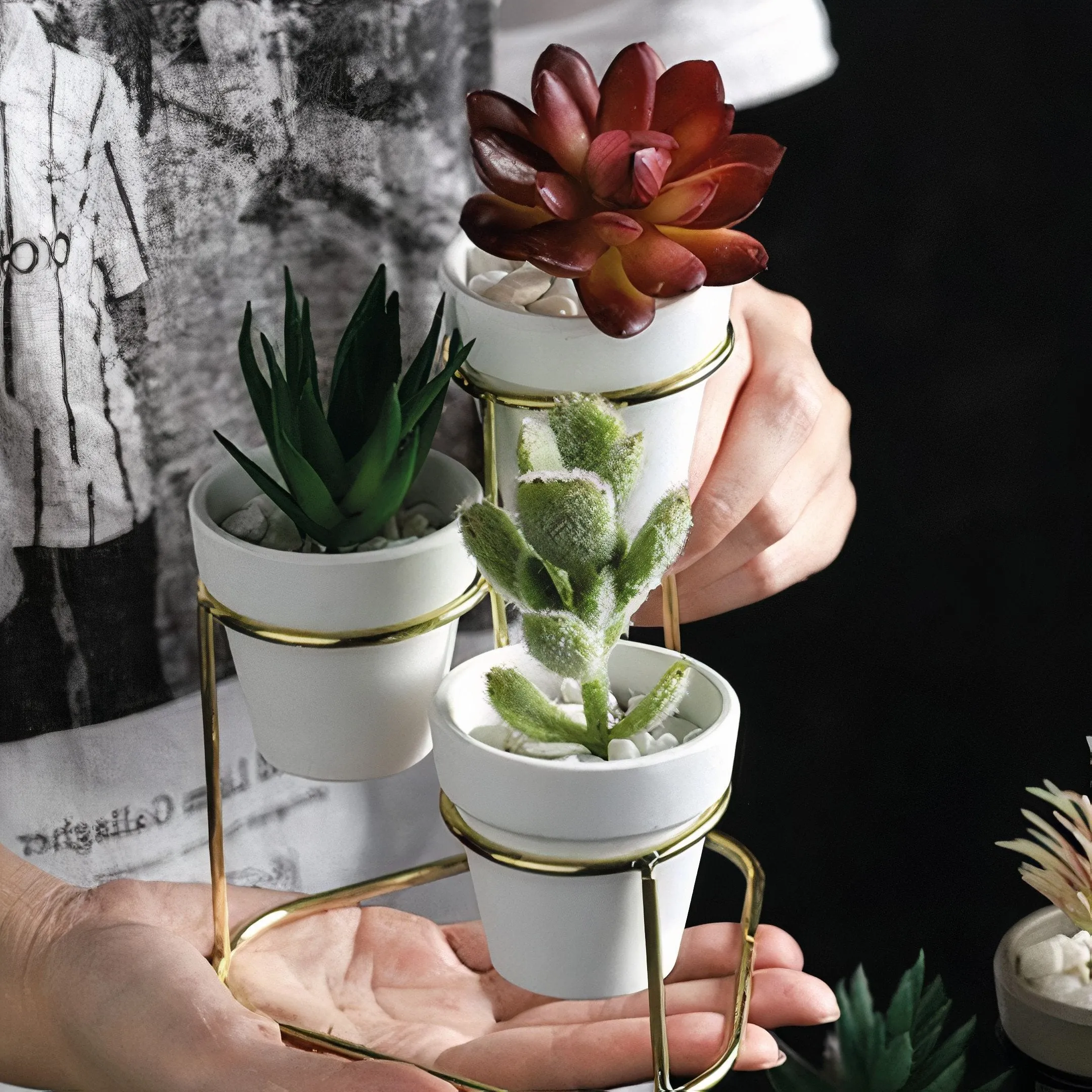 3 in 1 Tabletop Houseplant Mini Pottery Planters with Stand