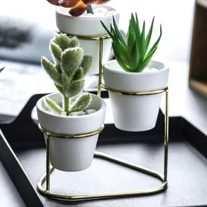 3 in 1 Tabletop Houseplant Mini Pottery Planters with Stand