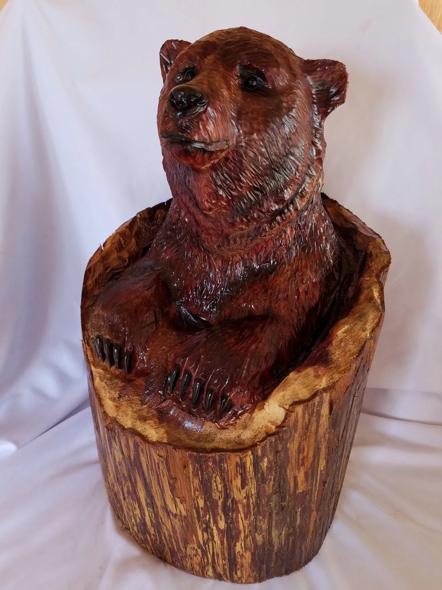 Bear in Upright Log