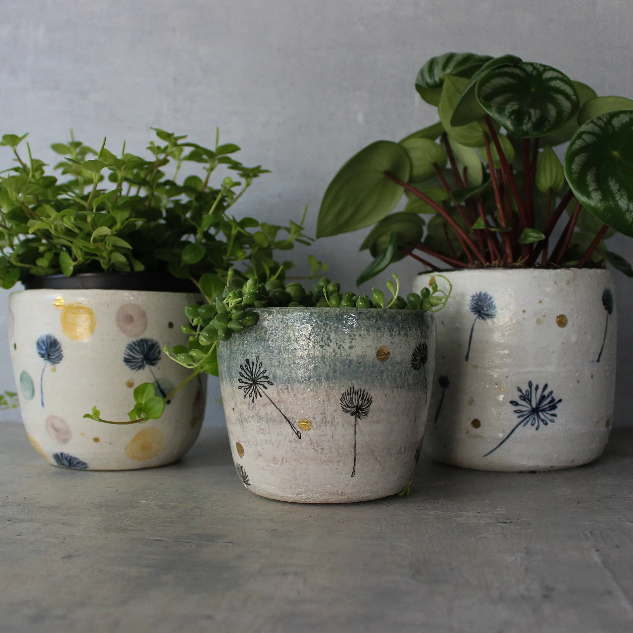 Ceramic Planters Dandelion