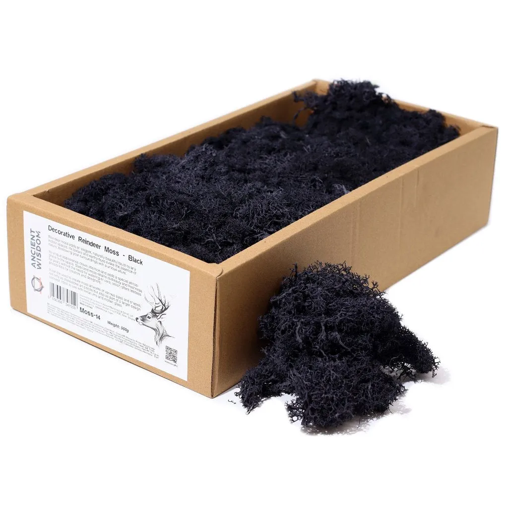 Decorative Moss - Natural Colours - Reindeer Moss