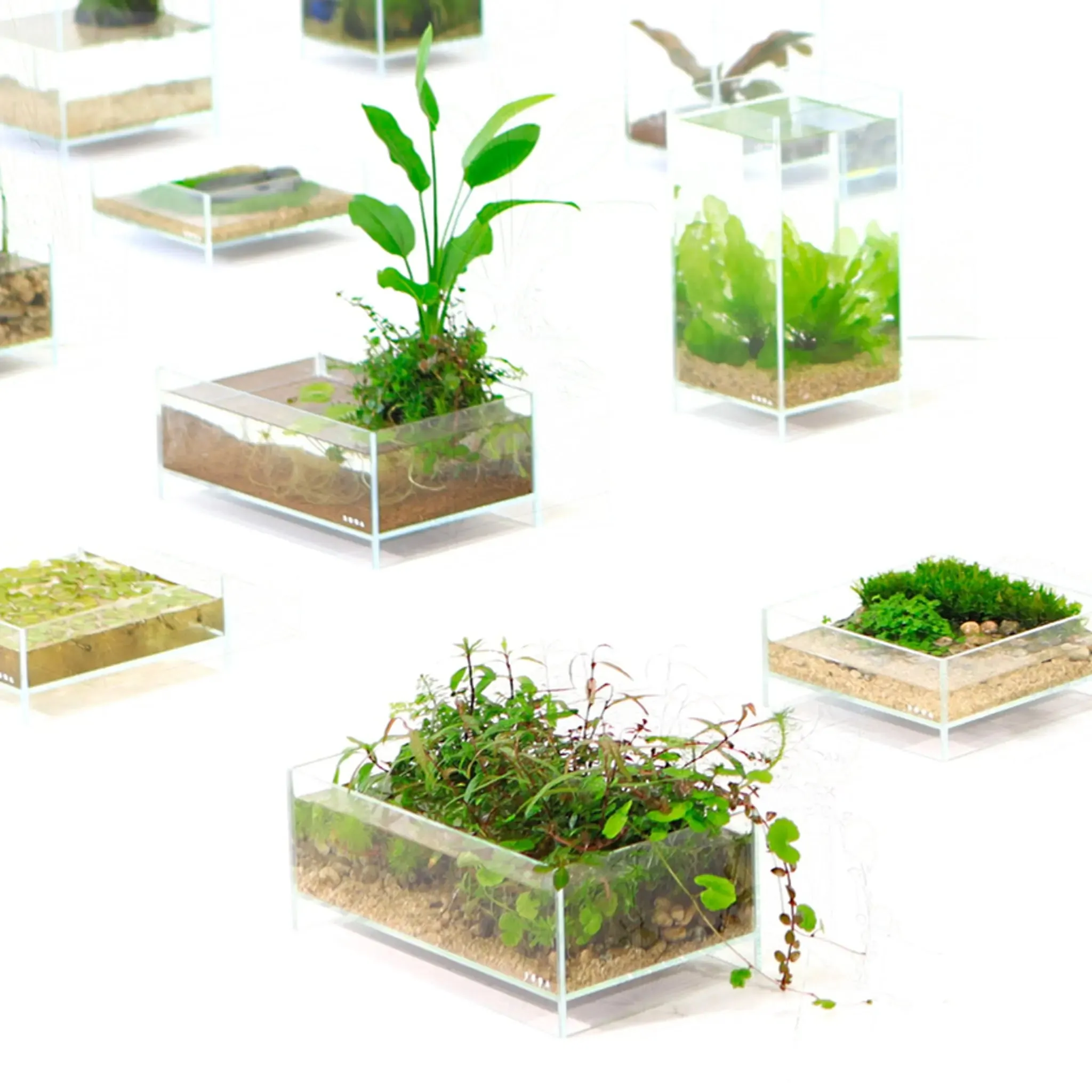 DOOA Neo Glass Air (20x20x30cm)