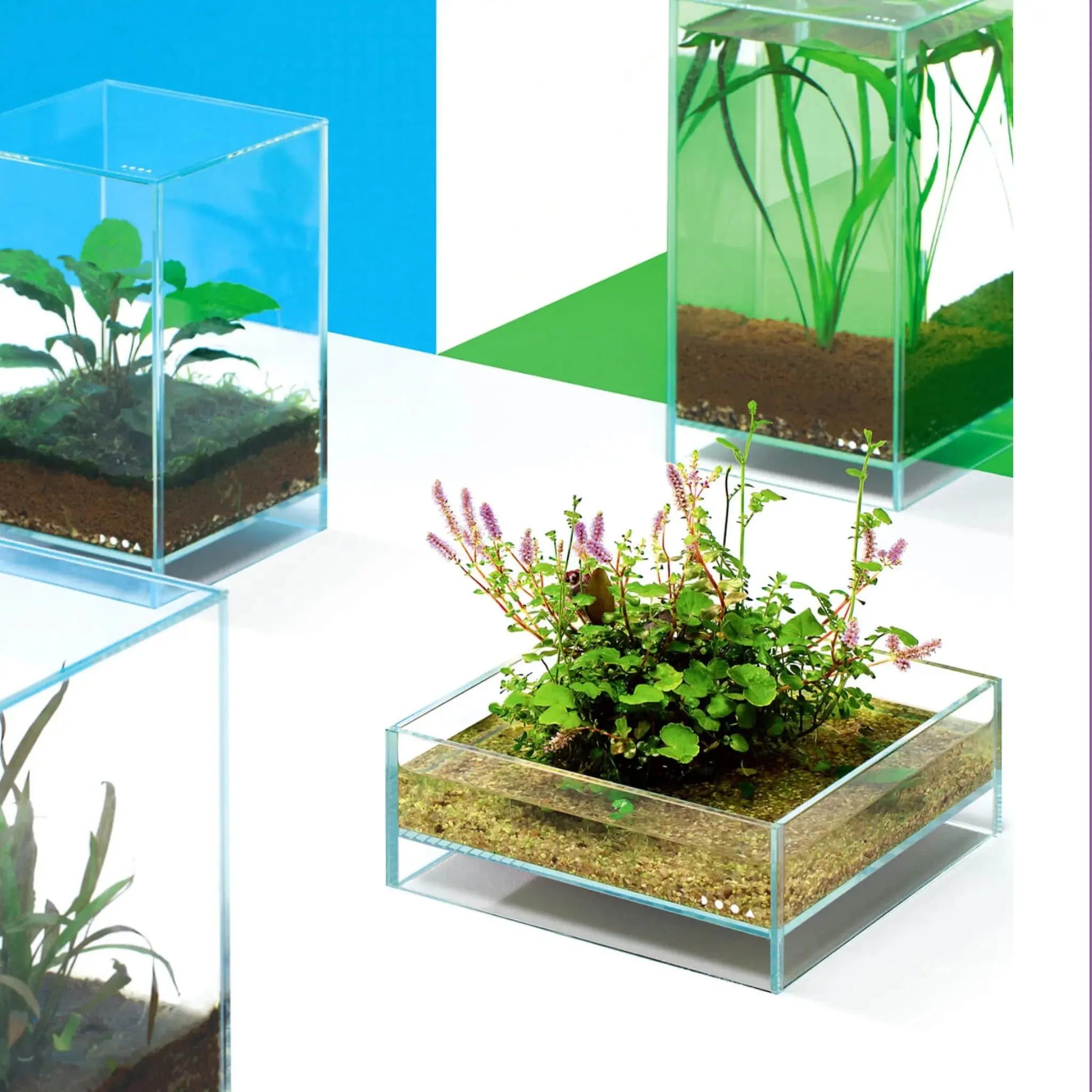 DOOA Neo Glass Air (20x20x8cm)