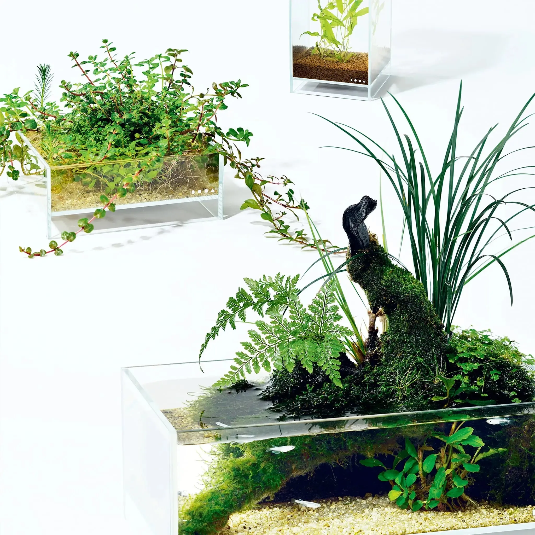 DOOA Neo Glass Air (20x20x8cm)