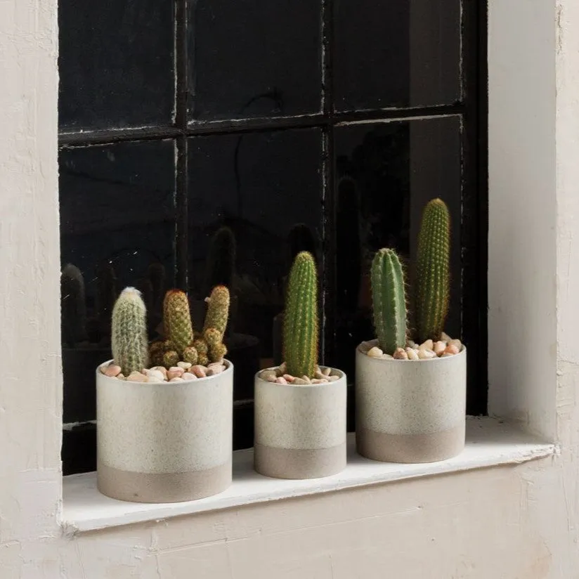 Downy Pot (Large)