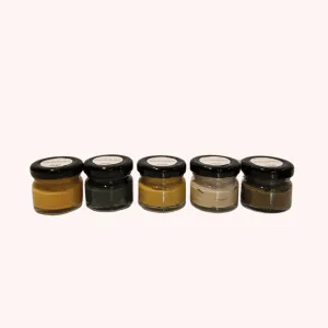 Earth tones acrylic paint set (5 colours)