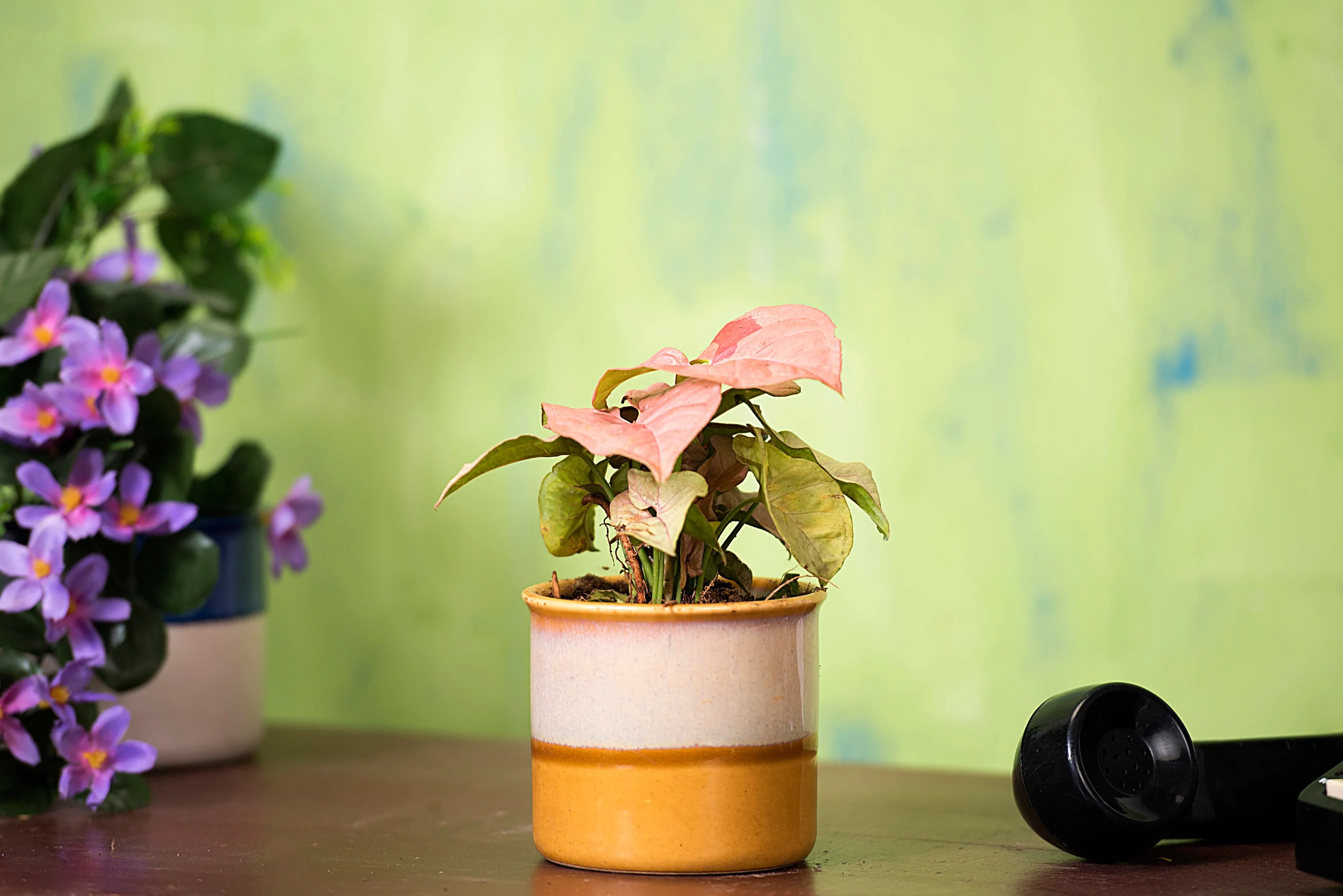 Exotic Green Handglazed Ceramic Studio Pottery (Planter/Pot/Gamla) Without Plant for Home Decor