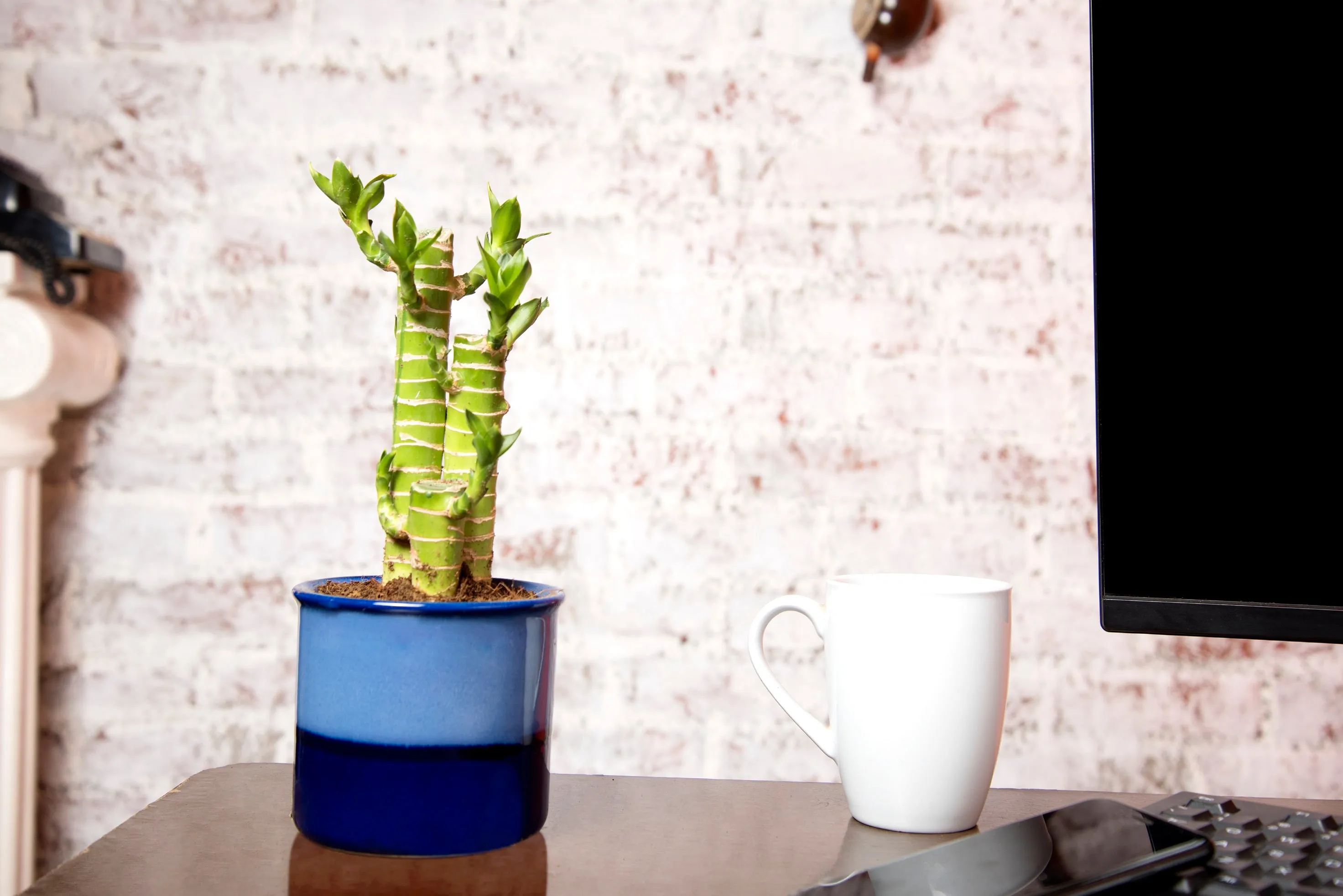 Exotic Green Handglazed Ceramic Studio Pottery (Planter/Pot/Gamla) Without Plant for Home Decor