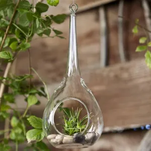 Freefalling Teardrop Glass Terrarium 6/pk