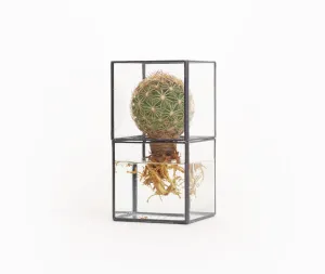Hydro 80:80 Terrarium
