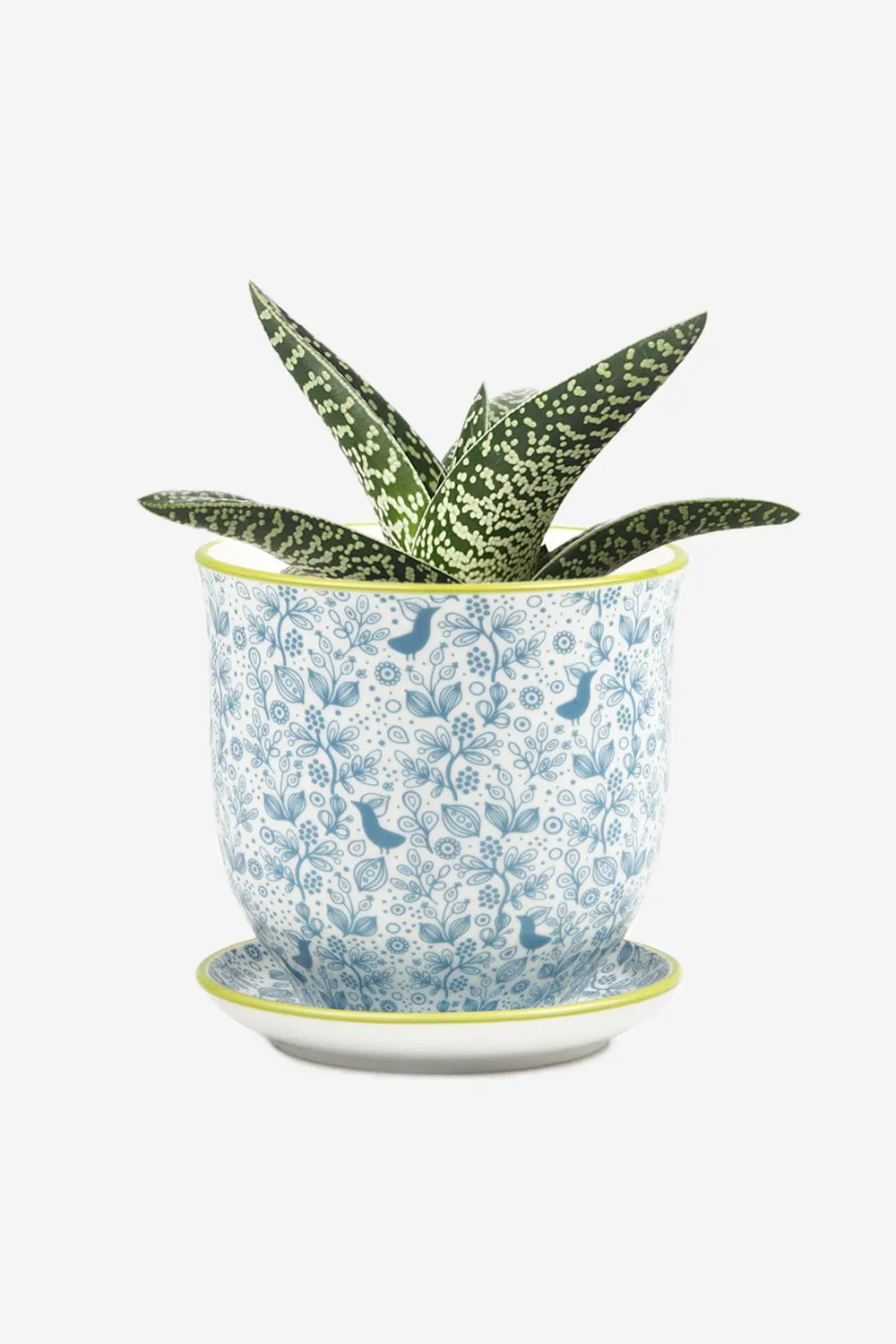 Liberte 3" Pot & Saucer