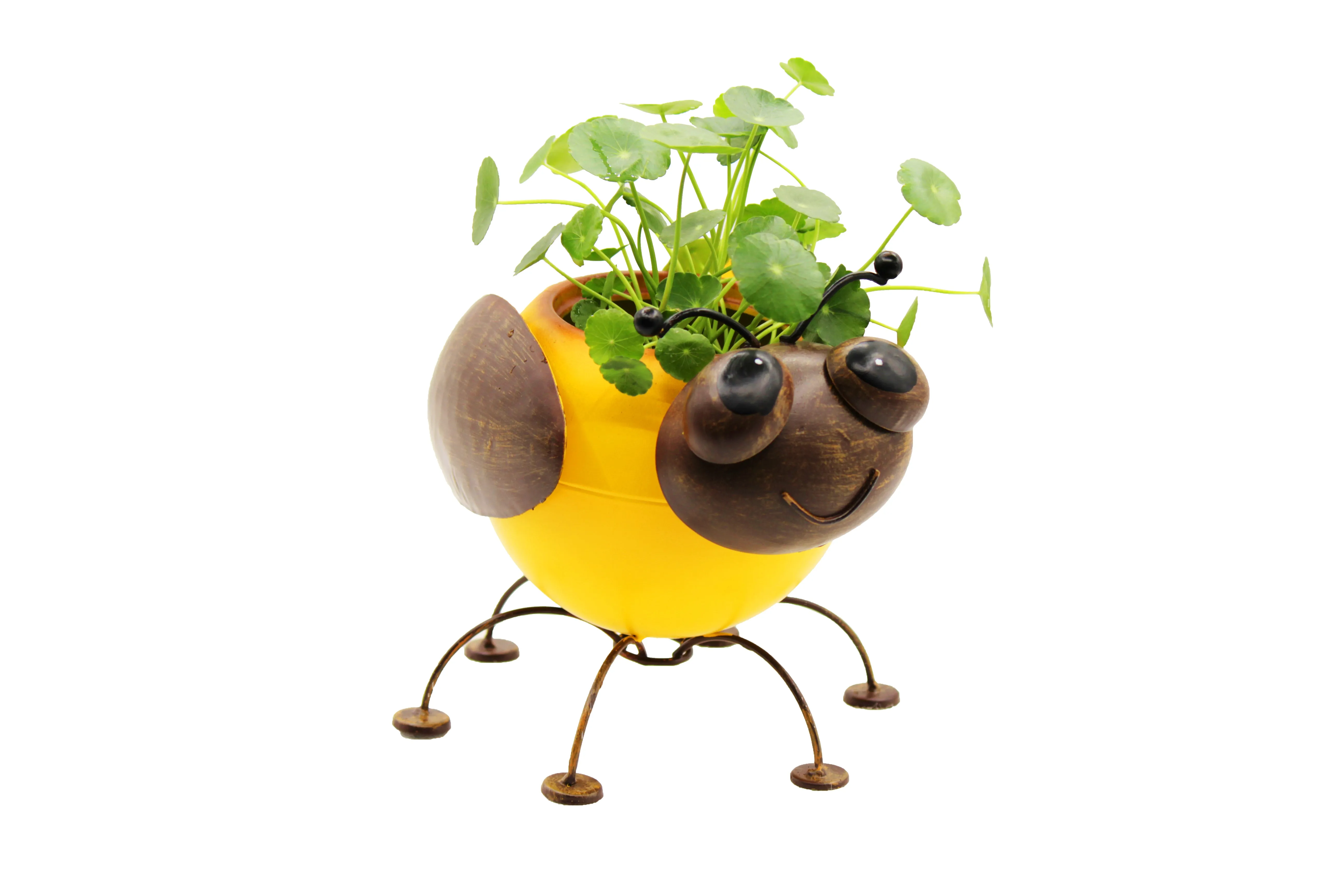 Metal Planter Bumble Bee with Pot Liner for Succulent Cacti Small Plants