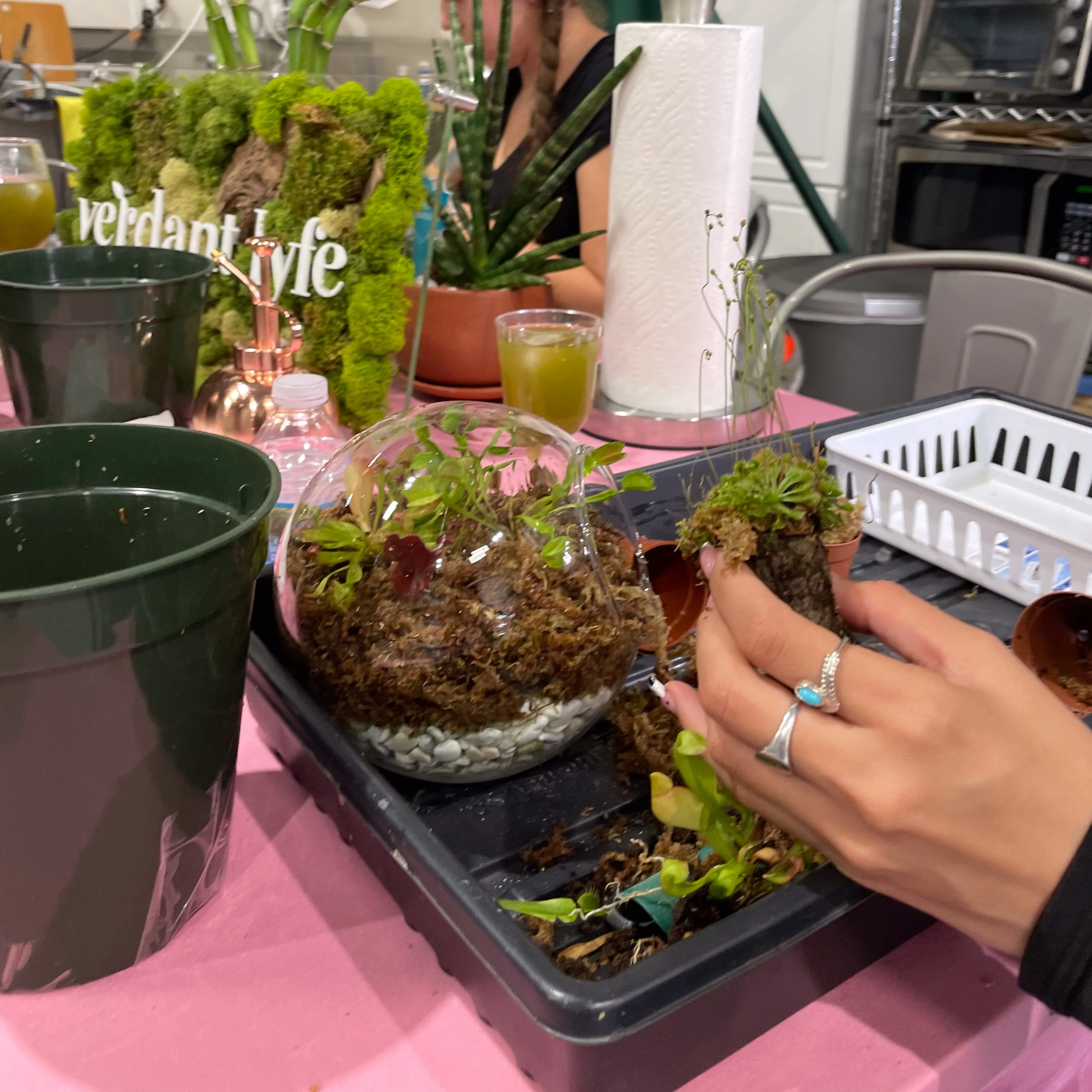 Terrarium Workshop - Thursday, January 23rd, 2025 at 6:00 pm