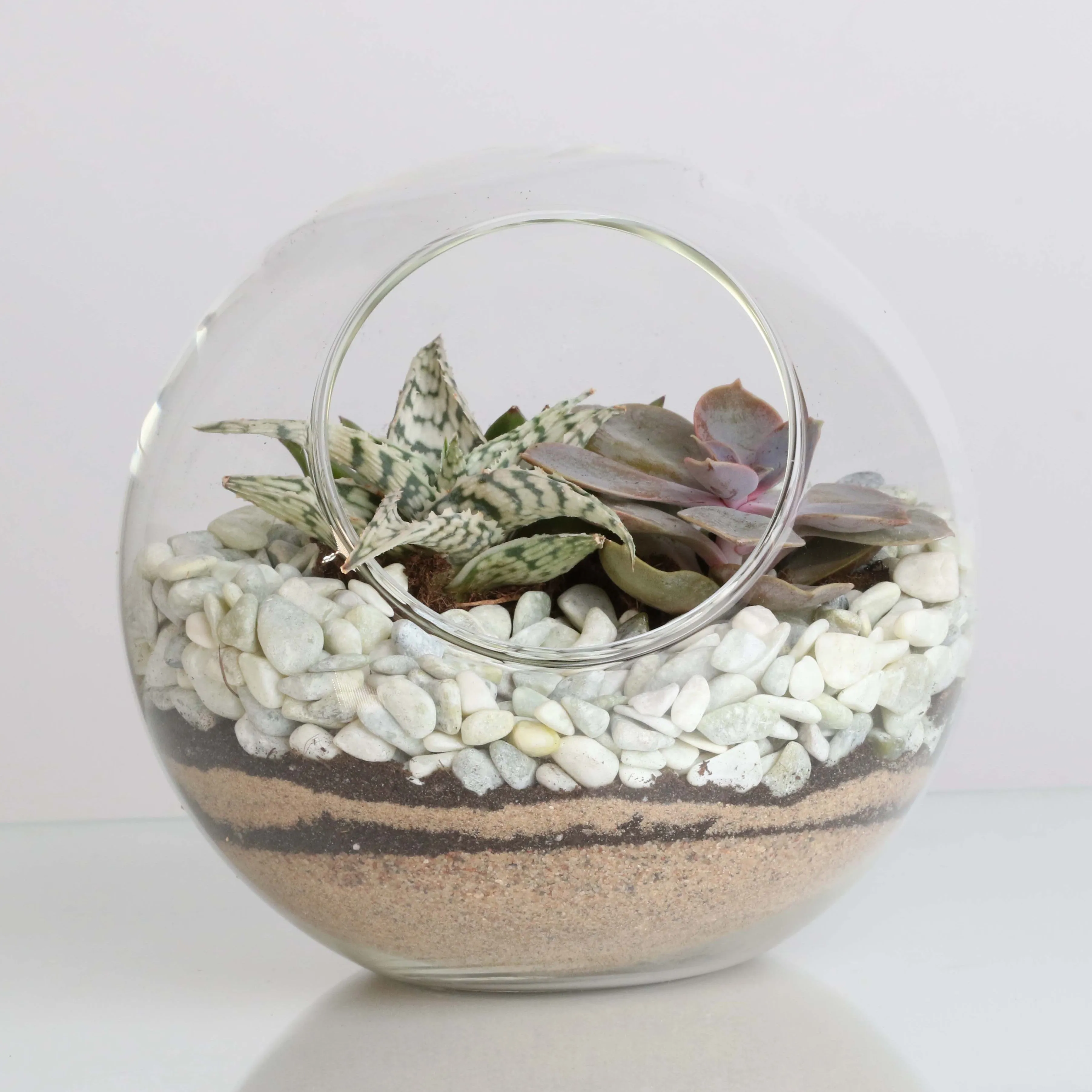Terrarium Workshop - Thursday, January 23rd, 2025 at 6:00 pm