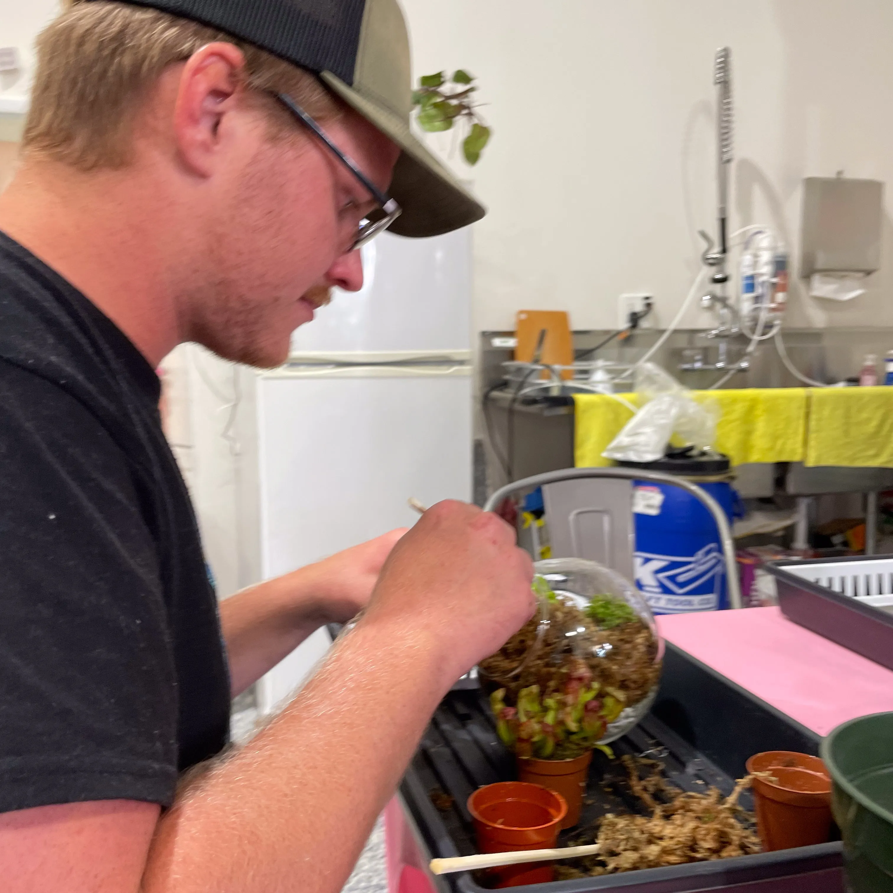 Terrarium Workshop - Thursday, January 23rd, 2025 at 6:00 pm