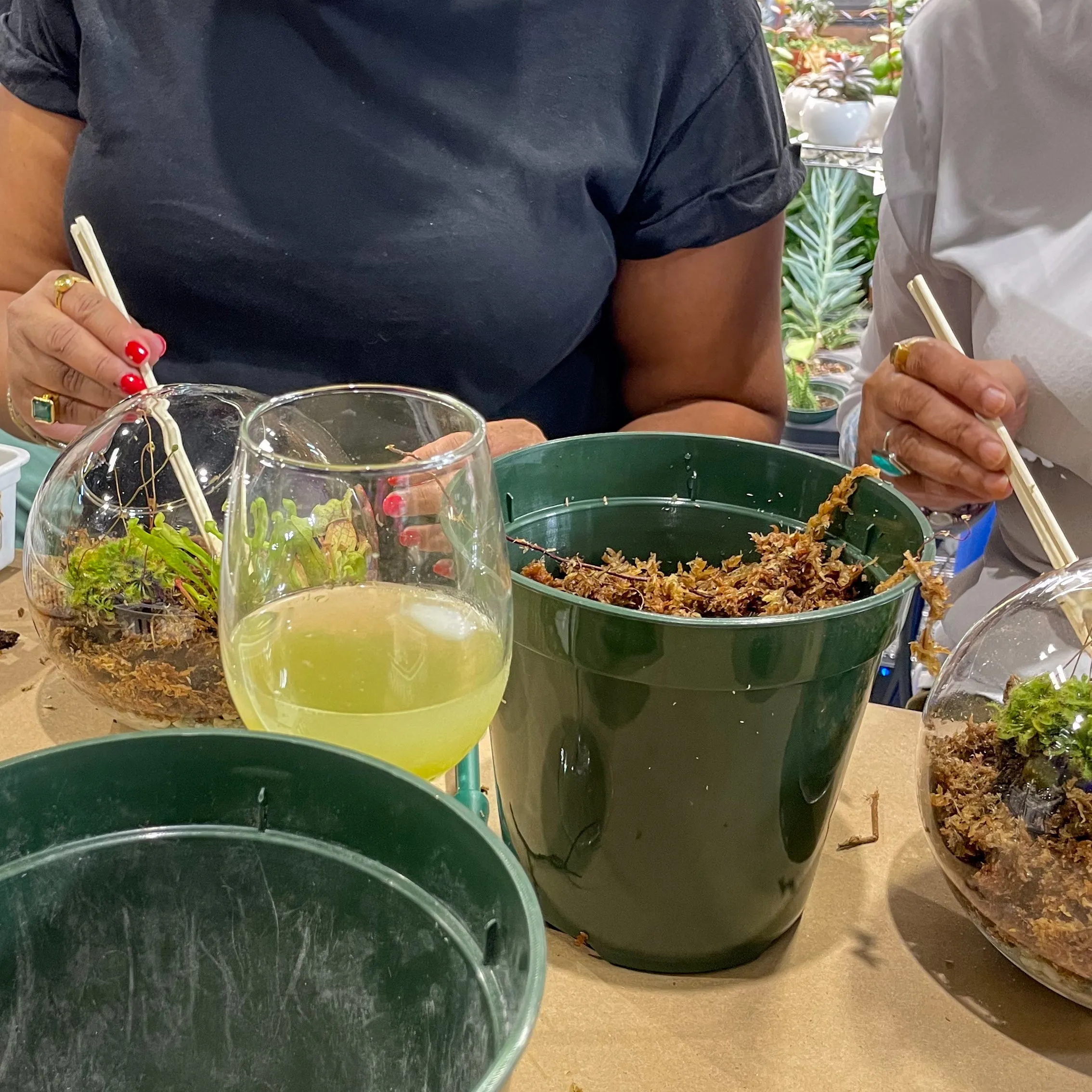 Terrarium Workshop - Thursday, January 23rd, 2025 at 6:00 pm
