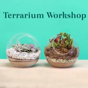 Terrarium Workshop - Thursday, January 23rd, 2025 at 6:00 pm