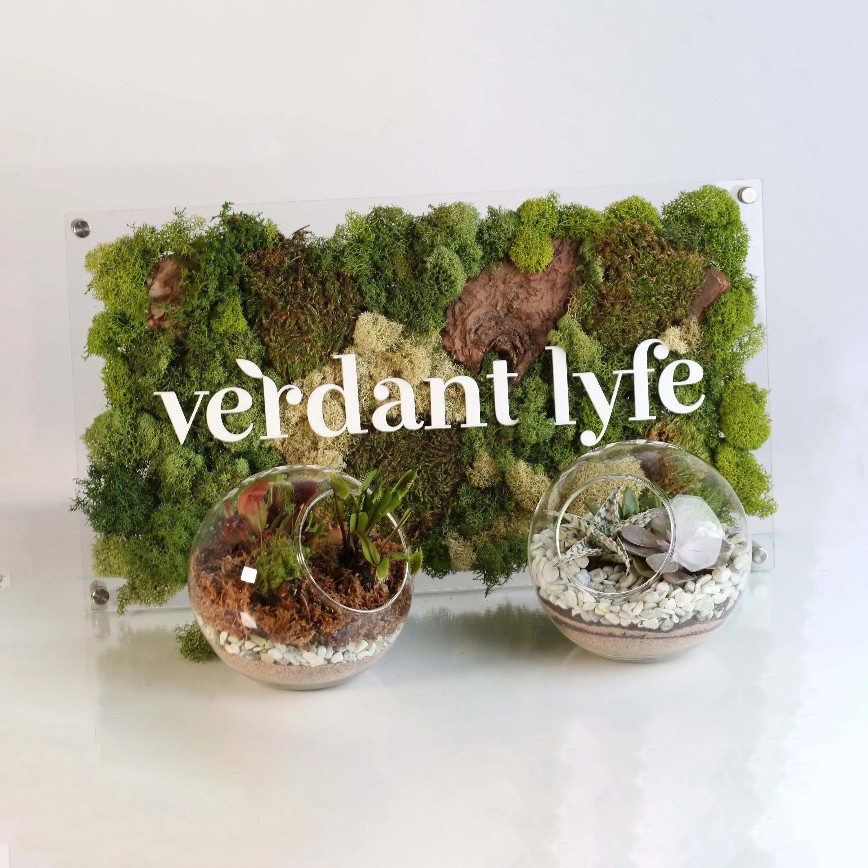 Terrarium Workshop - Thursday, January 23rd, 2025 at 6:00 pm