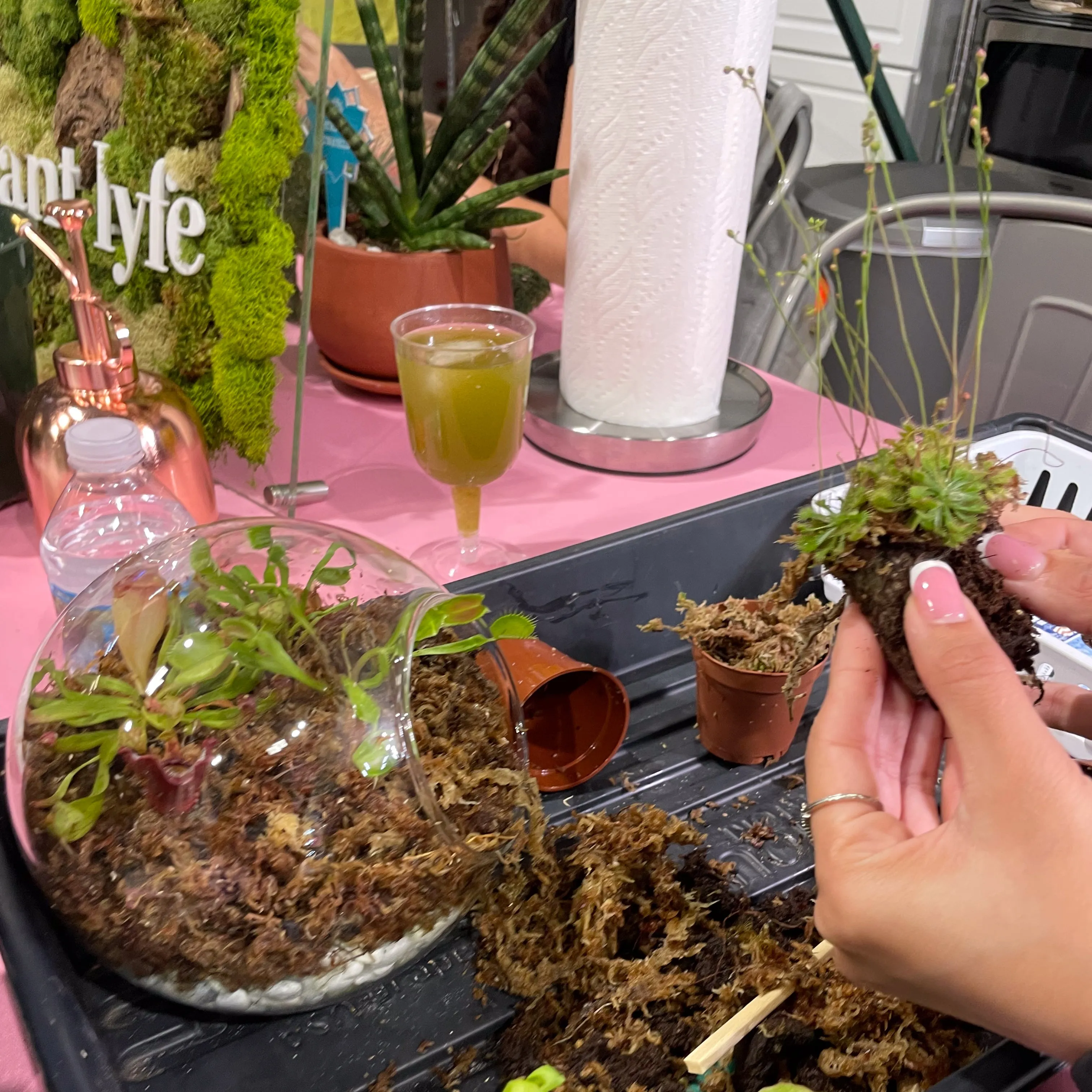 Terrarium Workshop - Thursday, January 23rd, 2025 at 6:00 pm