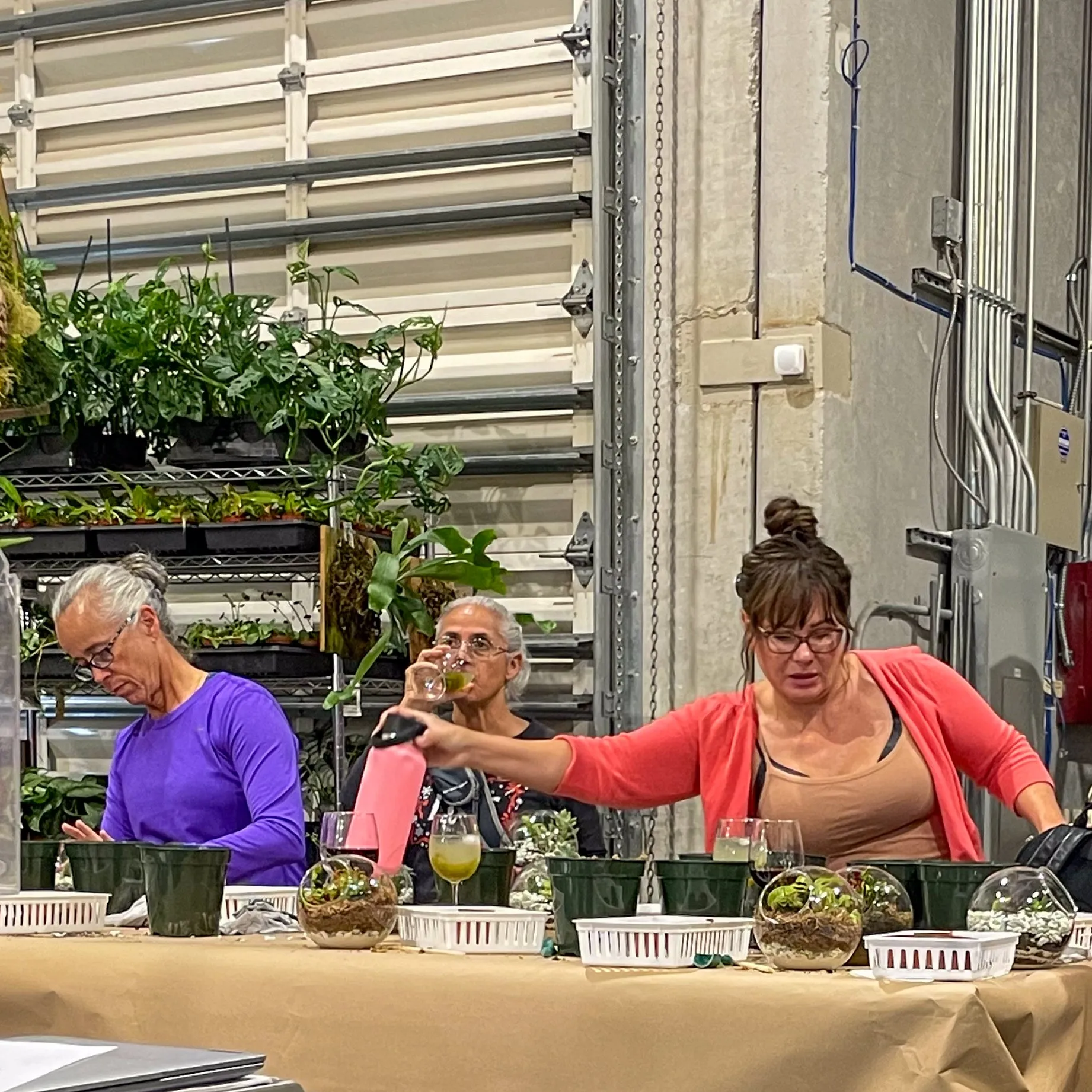 Terrarium Workshop - Thursday, January 23rd, 2025 at 6:00 pm