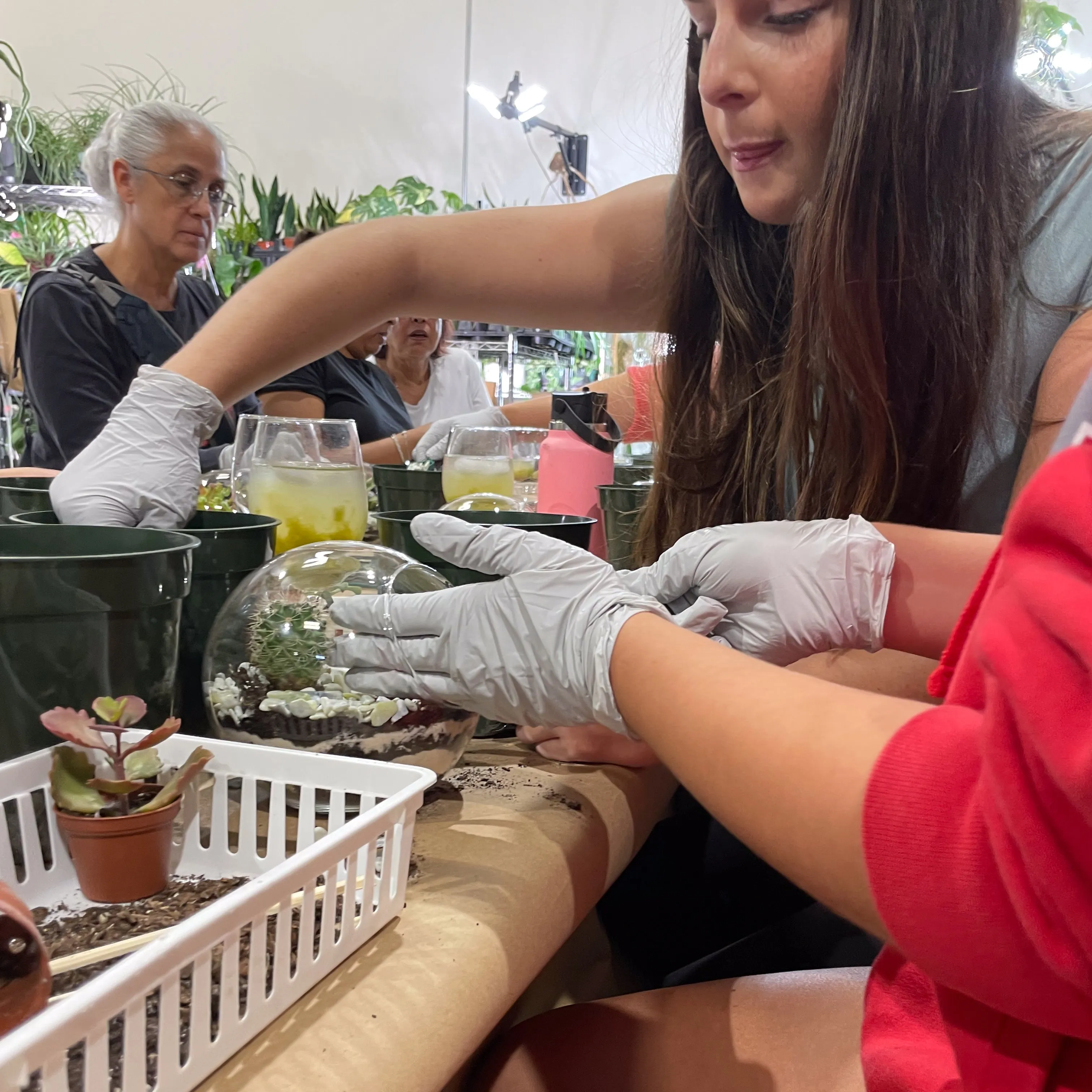 Terrarium Workshop - Thursday, January 23rd, 2025 at 6:00 pm