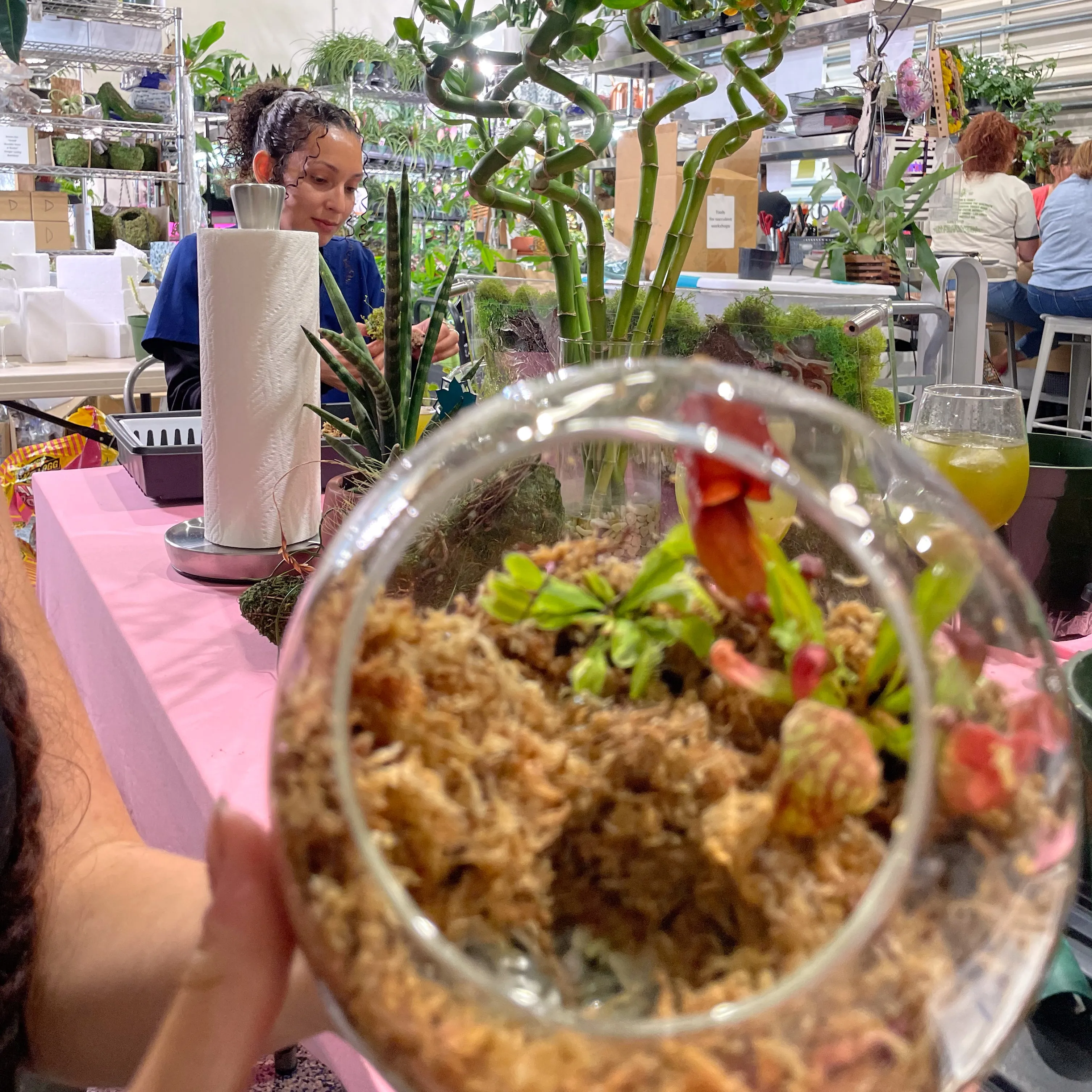 Terrarium Workshop - Thursday, January 23rd, 2025 at 6:00 pm