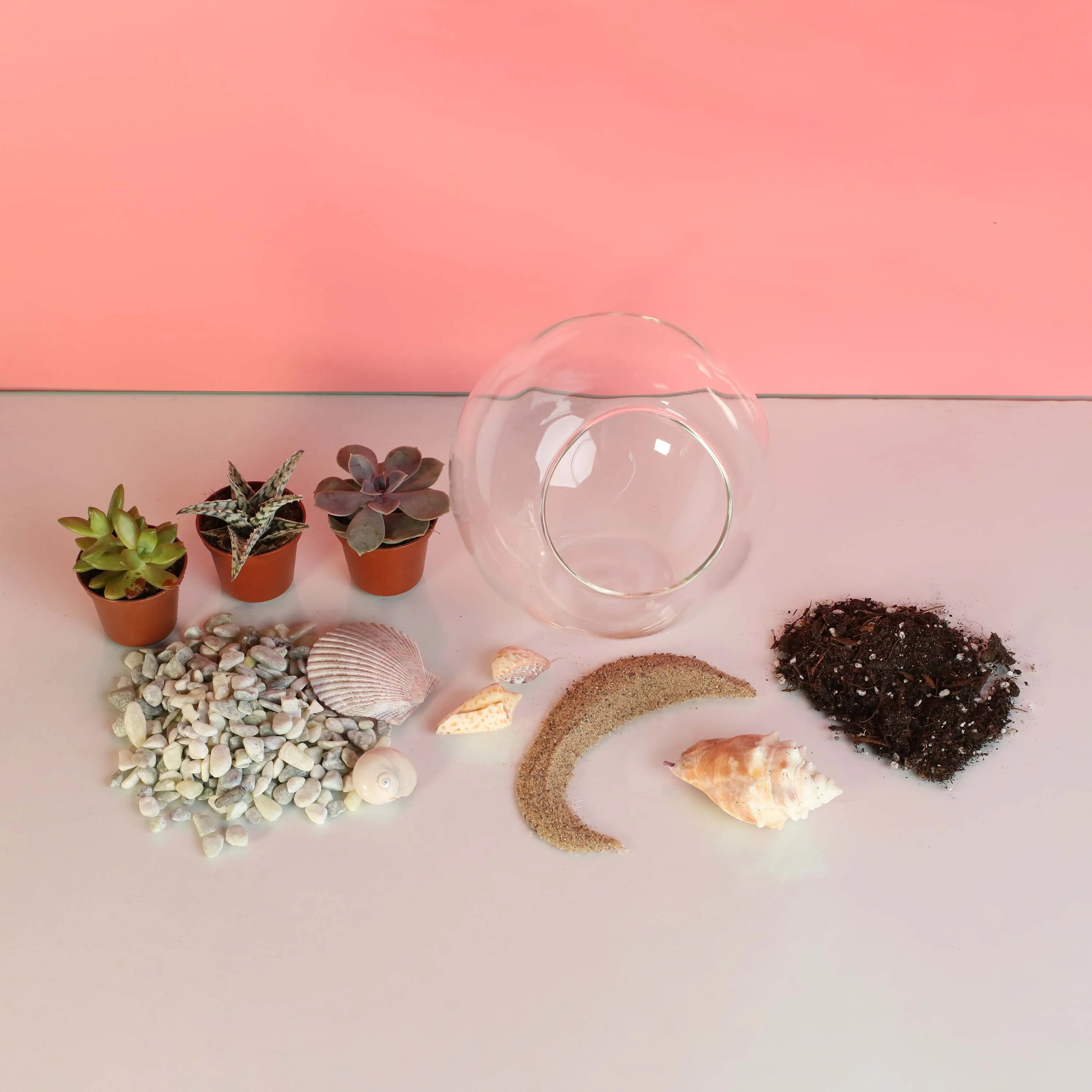 Terrarium Workshop - Thursday, January 23rd, 2025 at 6:00 pm