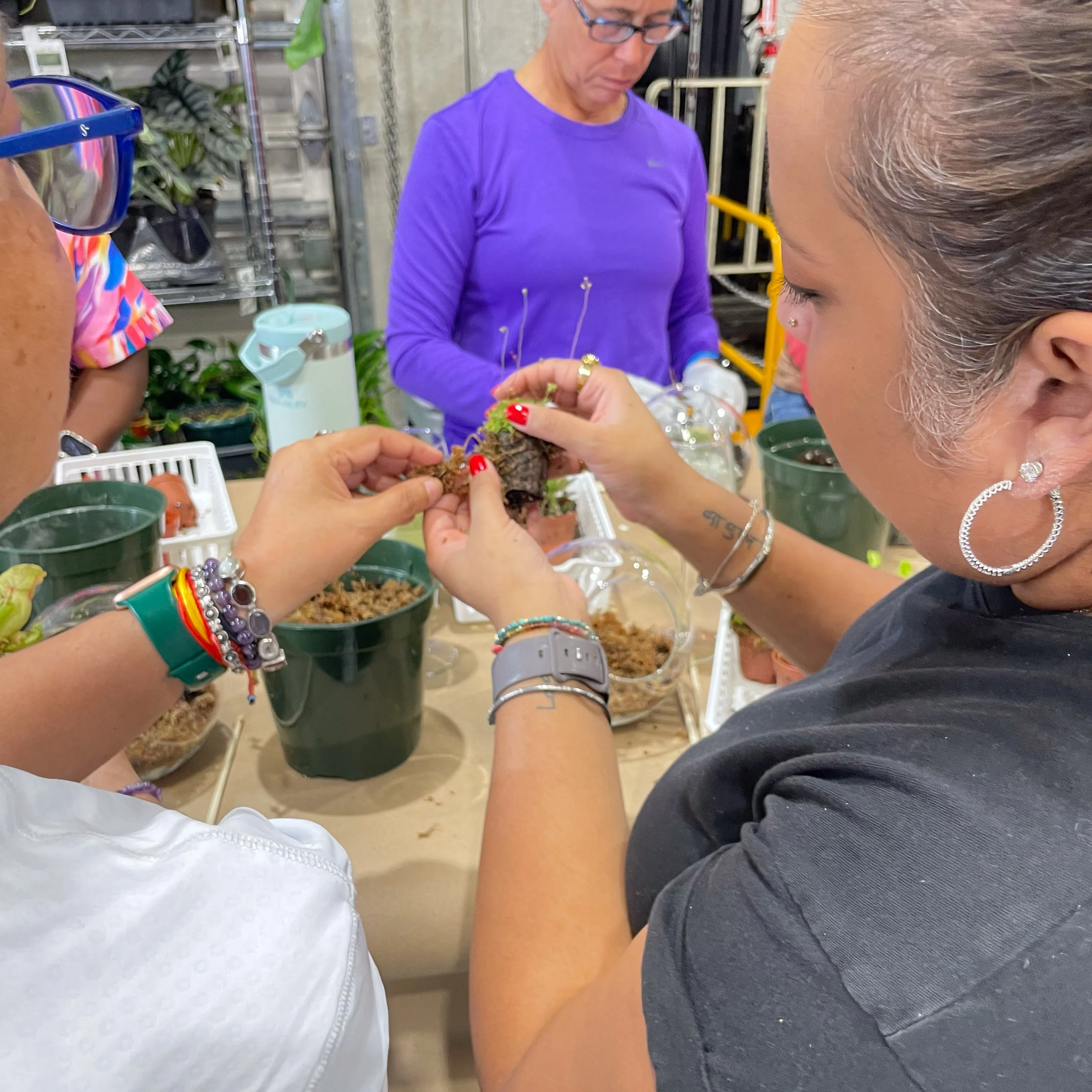 Terrarium Workshop - Thursday, January 23rd, 2025 at 6:00 pm