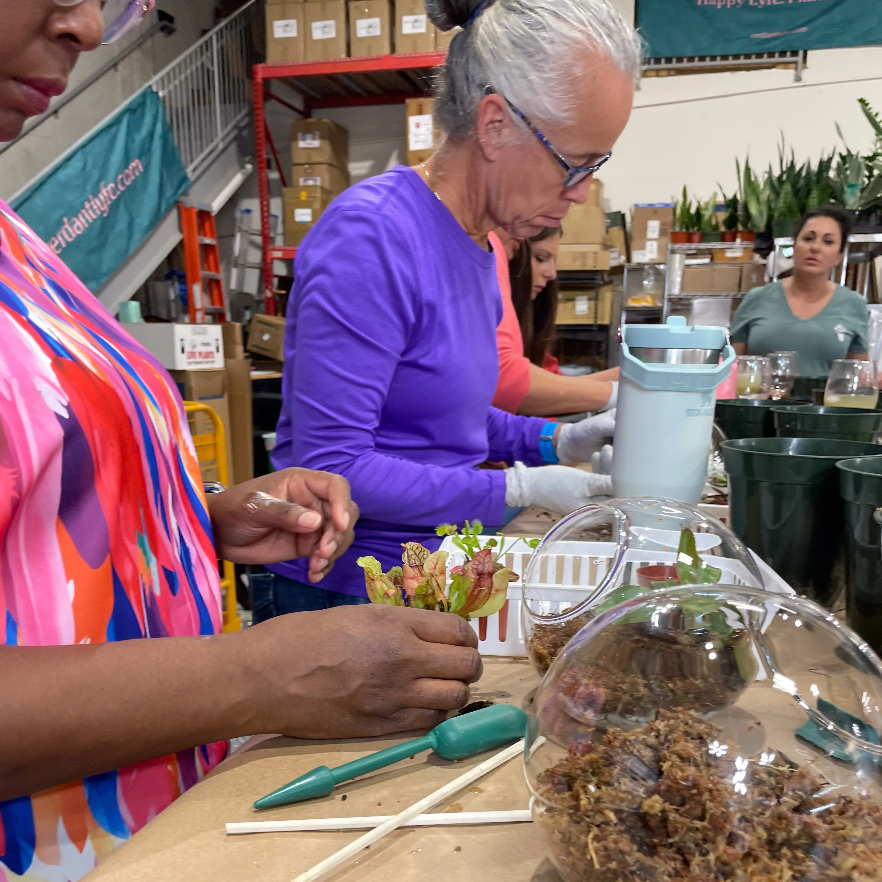 Terrarium Workshop - Thursday, January 23rd, 2025 at 6:00 pm