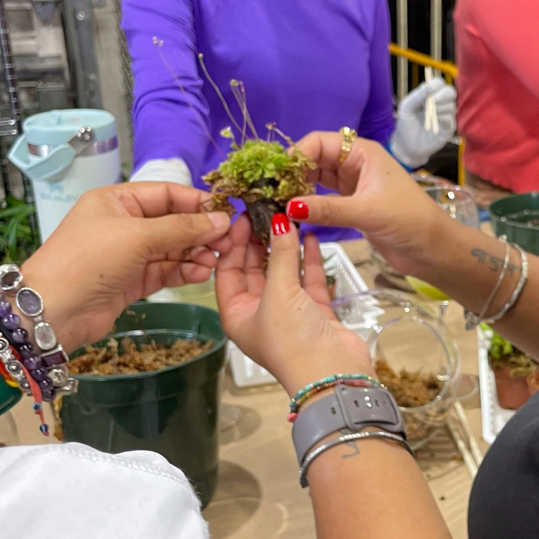 Terrarium Workshop - Thursday, January 23rd, 2025 at 6:00 pm