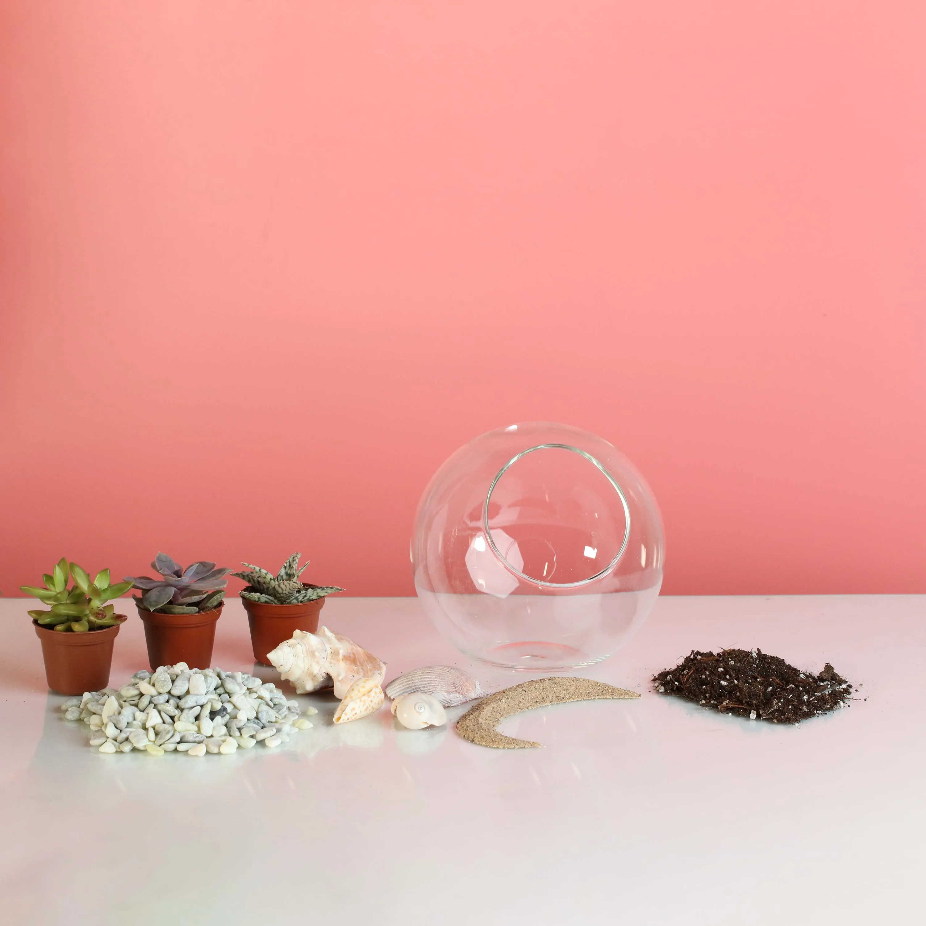 Terrarium Workshop - Thursday, January 23rd, 2025 at 6:00 pm
