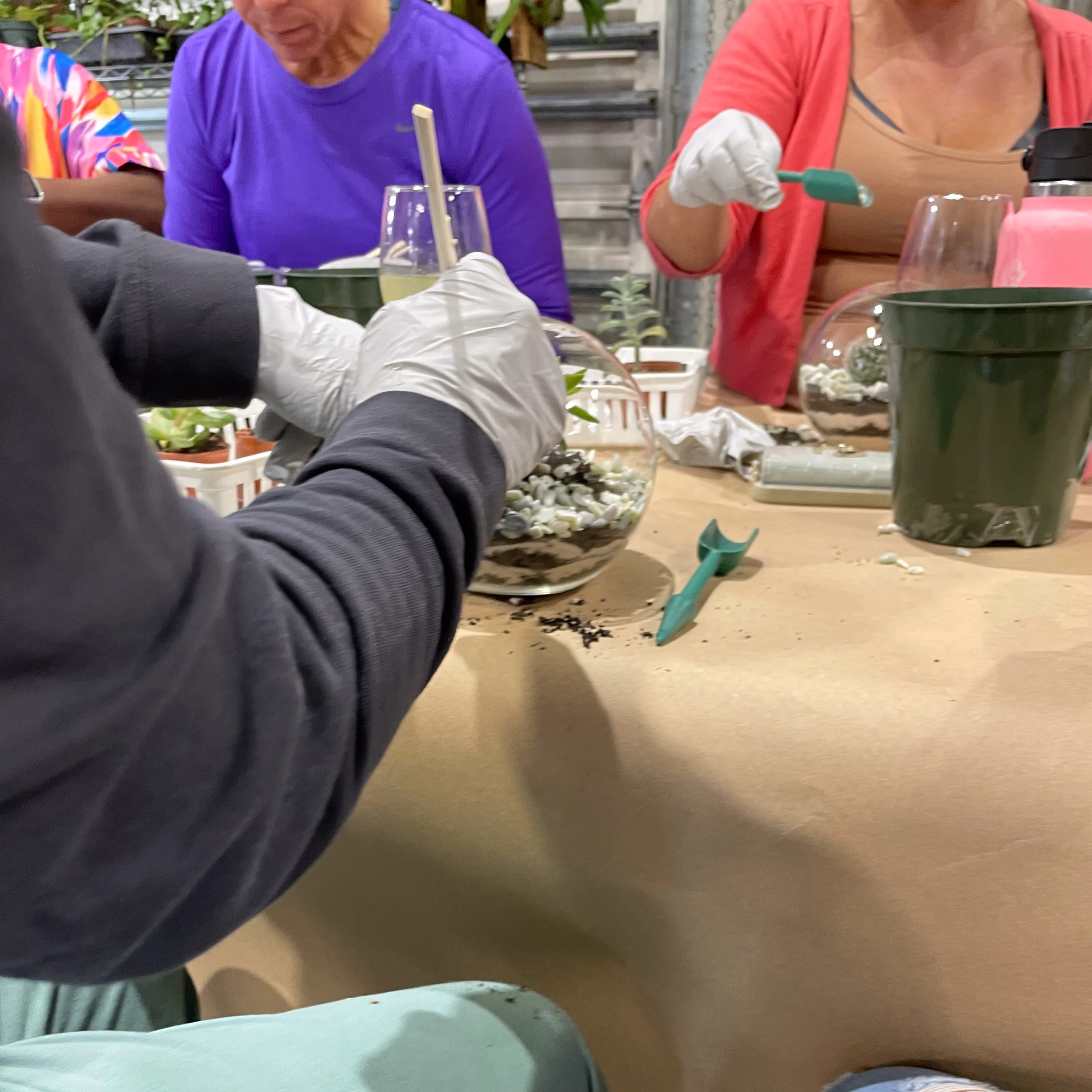 Terrarium Workshop - Thursday, January 23rd, 2025 at 6:00 pm