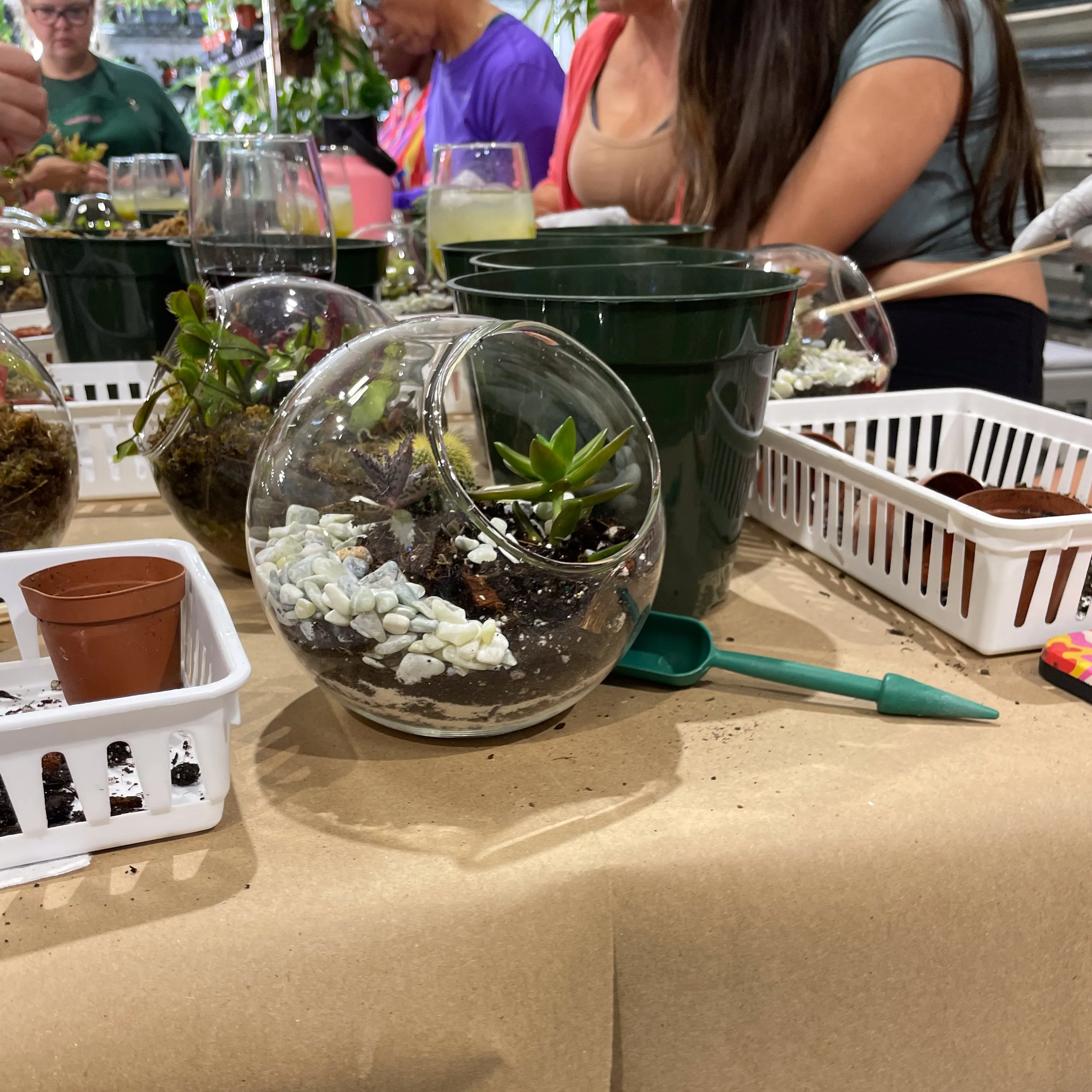 Terrarium Workshop - Thursday, January 23rd, 2025 at 6:00 pm