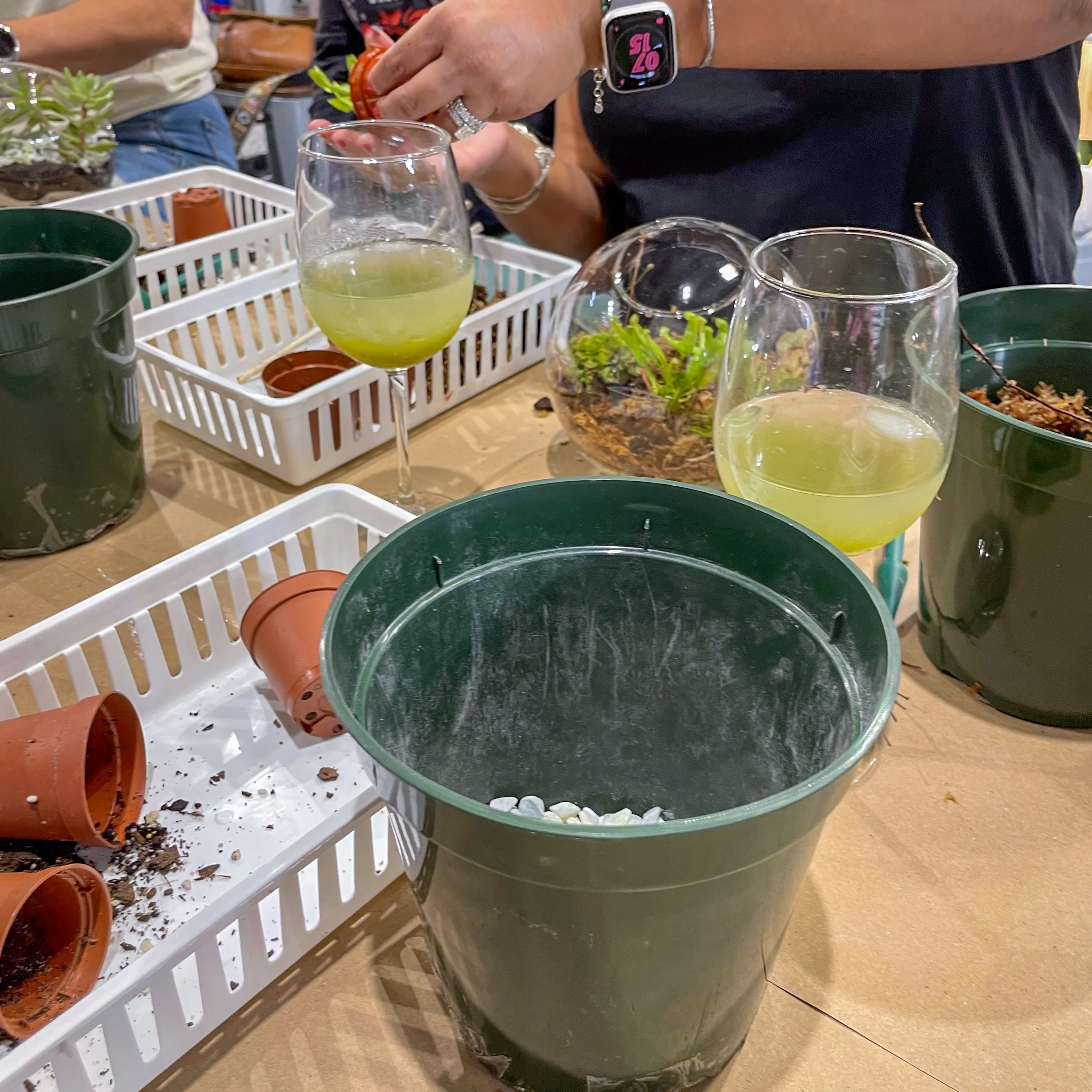 Terrarium Workshop - Thursday, January 23rd, 2025 at 6:00 pm