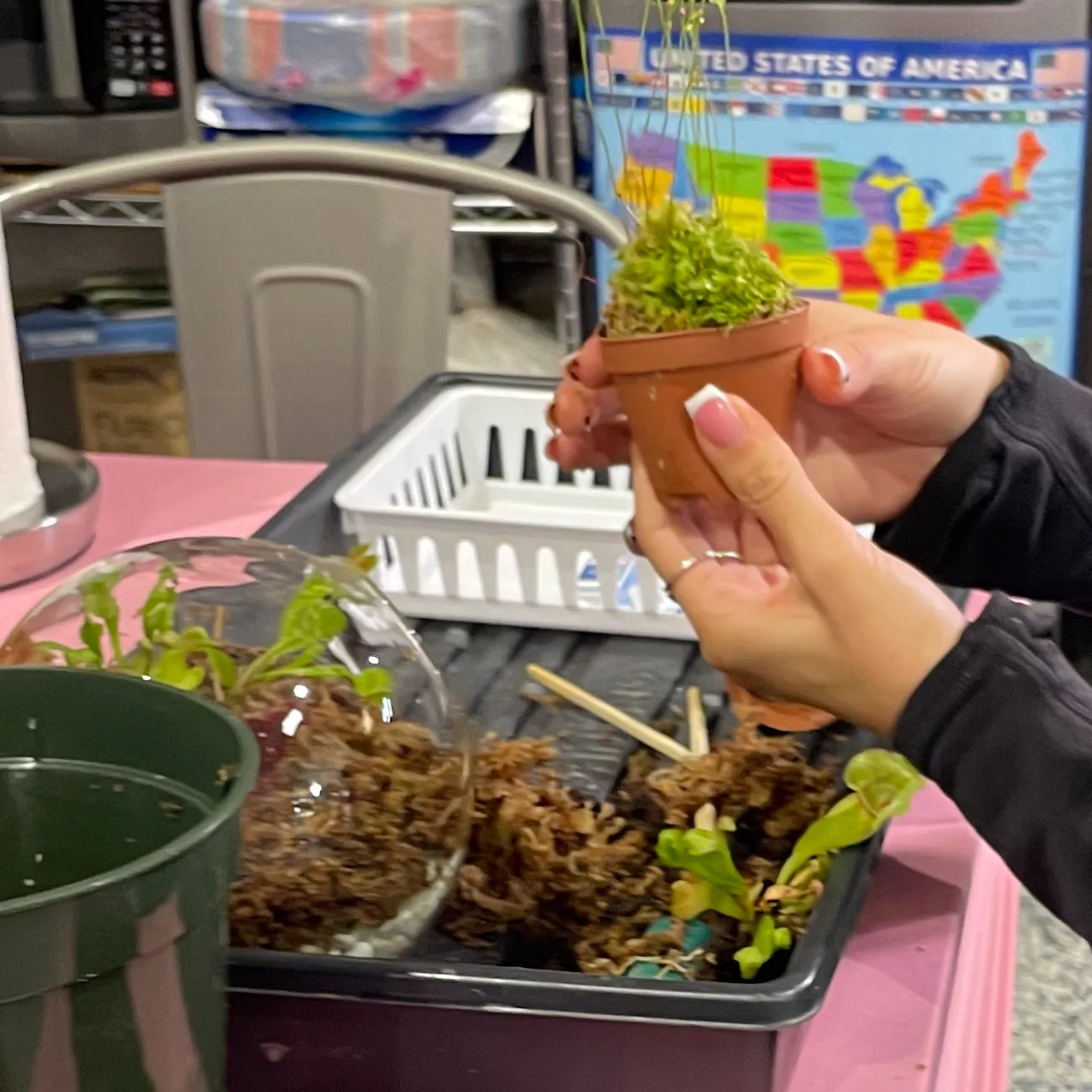Terrarium Workshop - Thursday, January 23rd, 2025 at 6:00 pm