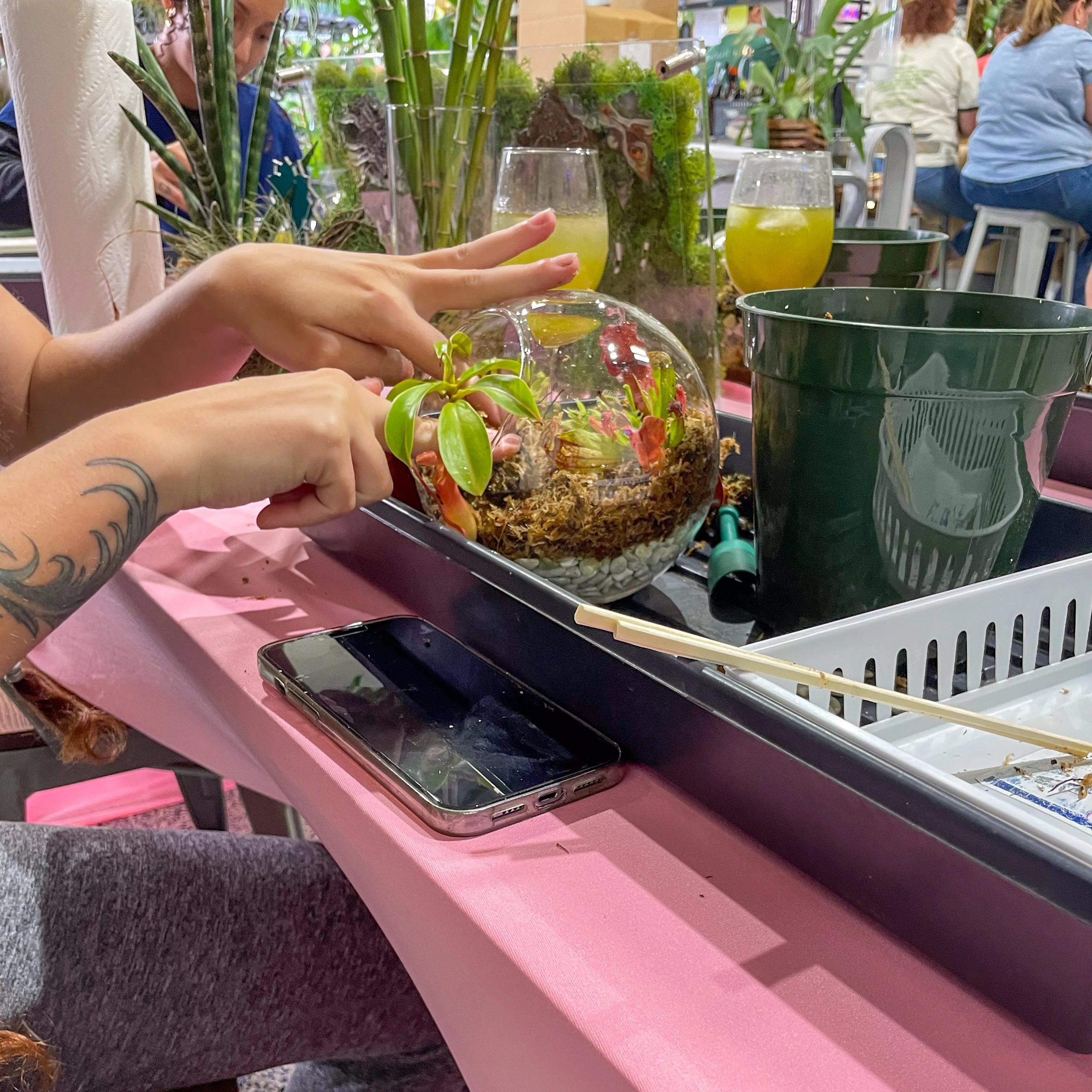 Terrarium Workshop - Thursday, January 23rd, 2025 at 6:00 pm