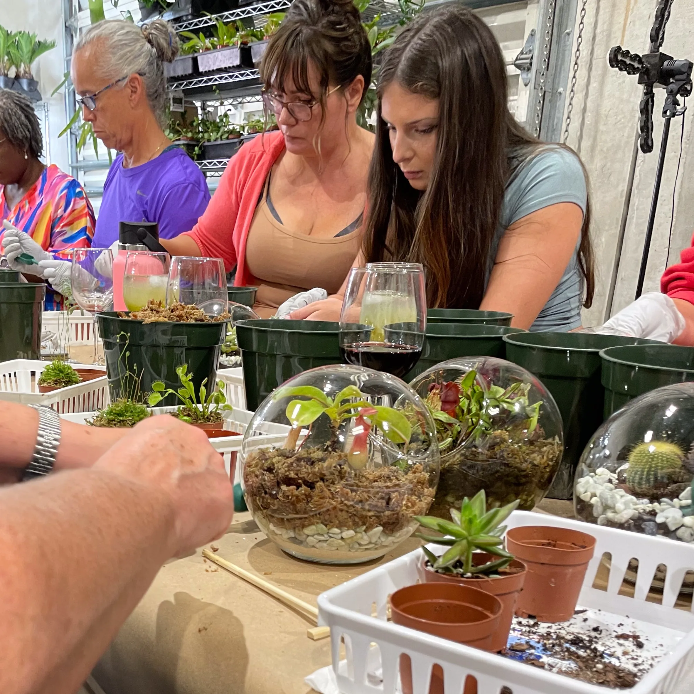 Terrarium Workshop - Thursday, January 23rd, 2025 at 6:00 pm