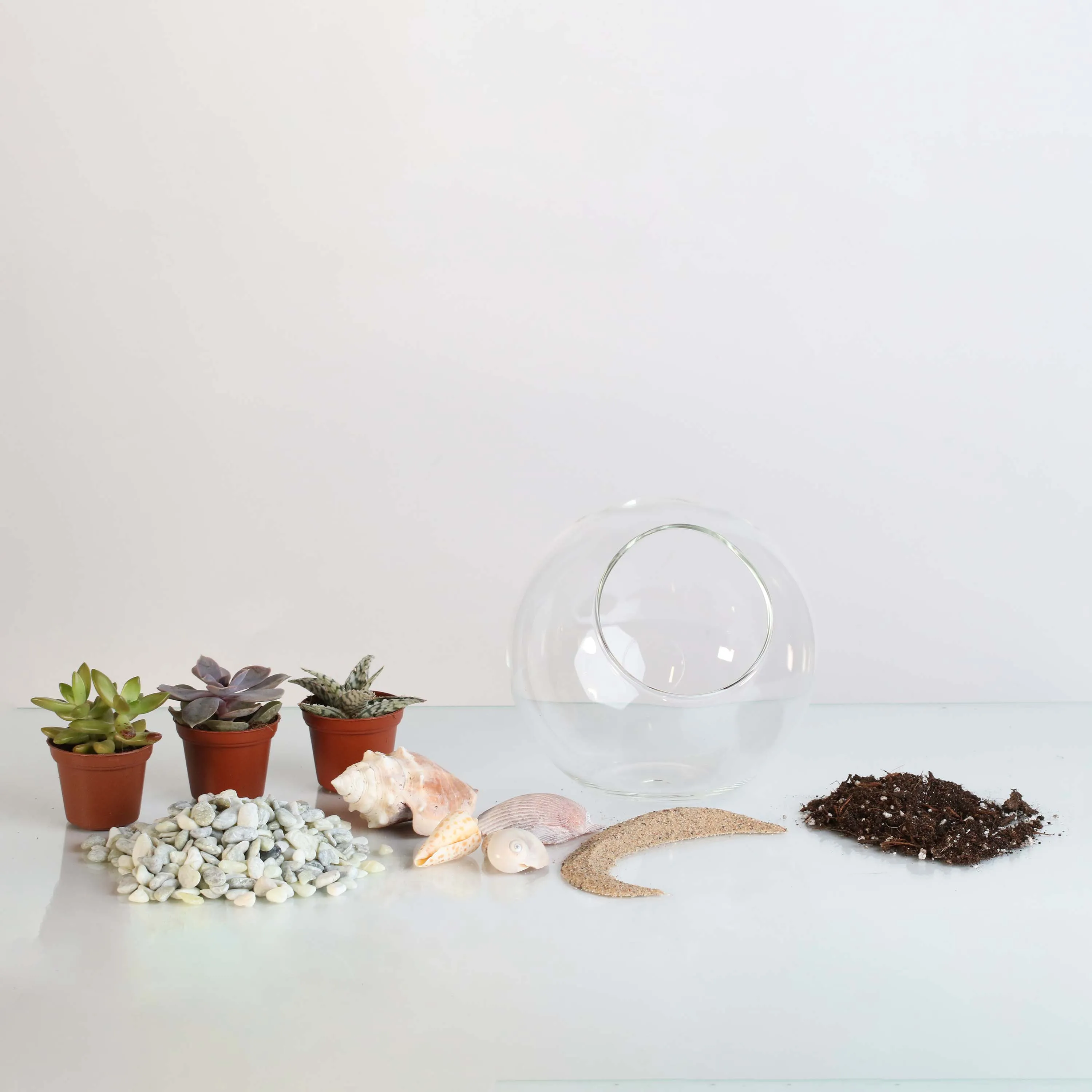 Terrarium Workshop - Thursday, January 23rd, 2025 at 6:00 pm