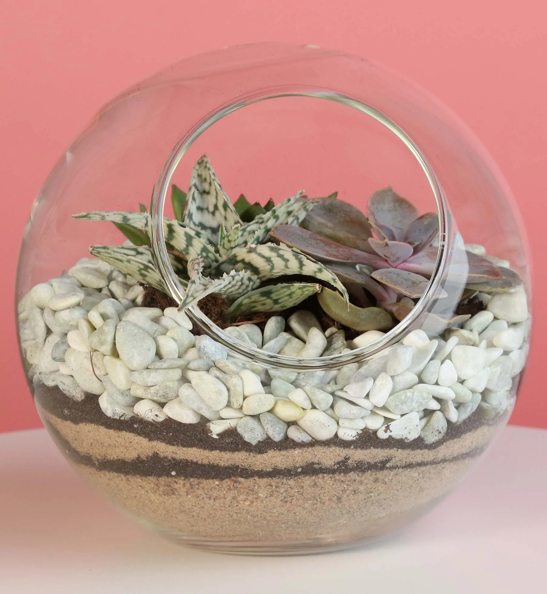 Terrarium Workshop - Thursday, January 23rd, 2025 at 6:00 pm