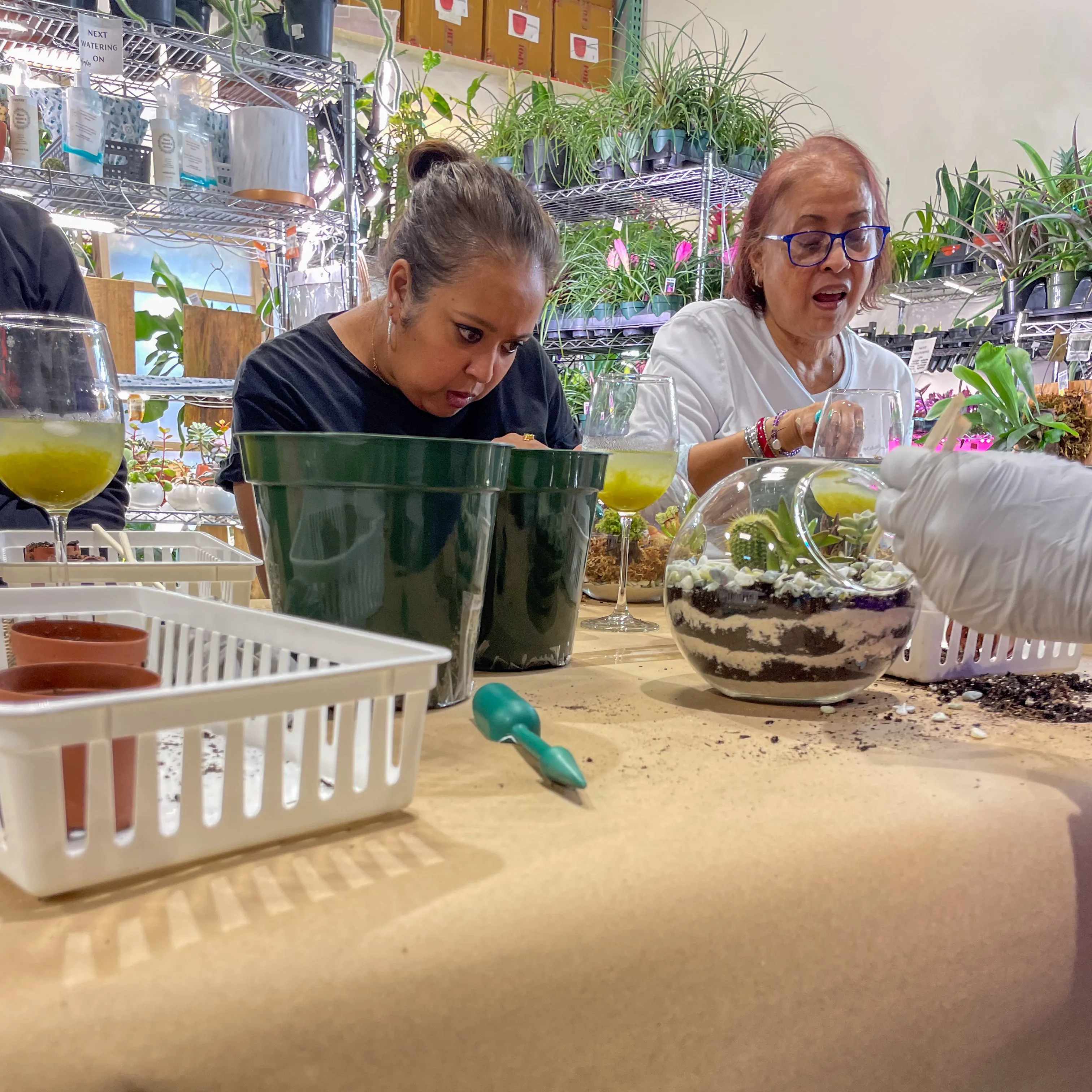 Terrarium Workshop - Thursday, January 23rd, 2025 at 6:00 pm