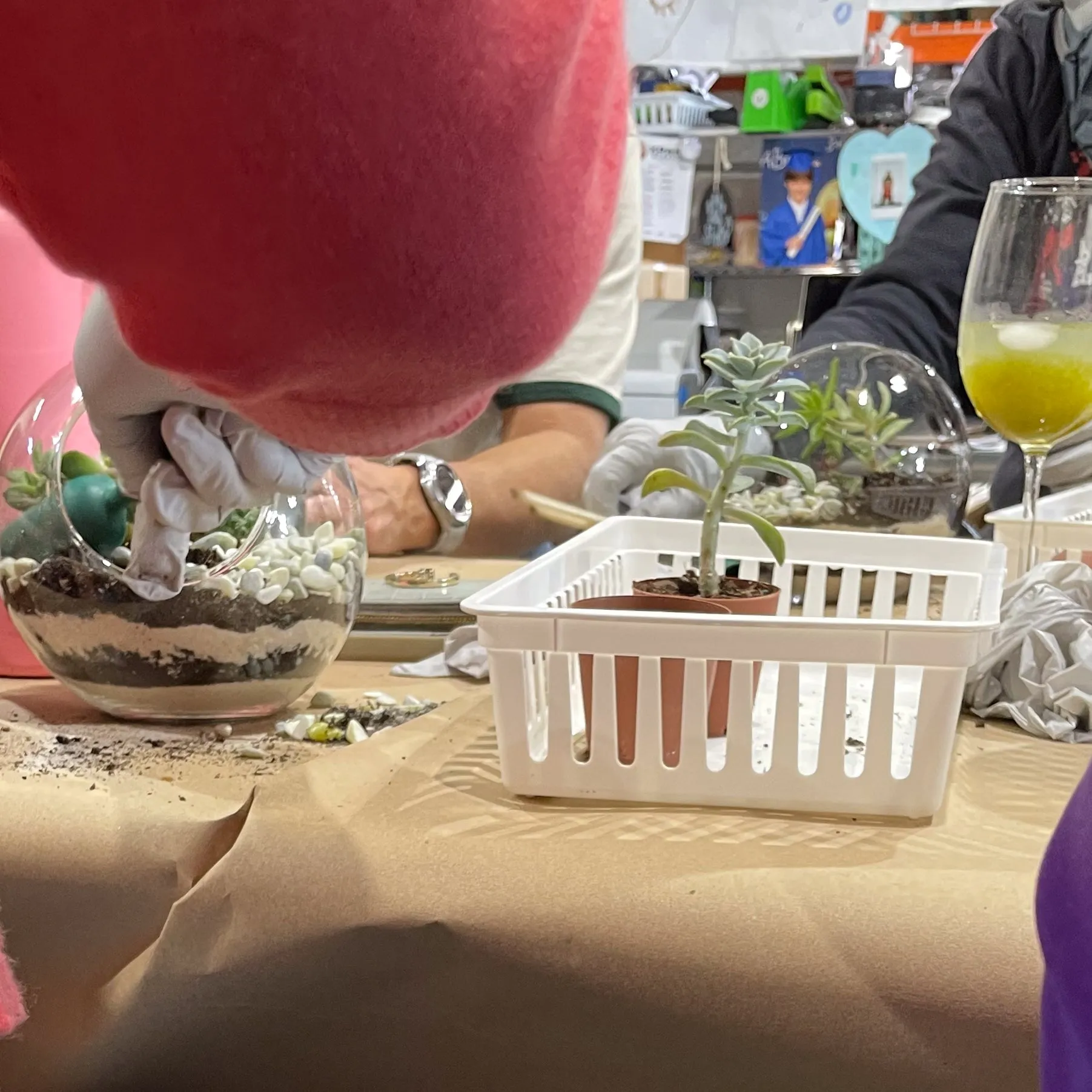 Terrarium Workshop - Thursday, January 23rd, 2025 at 6:00 pm