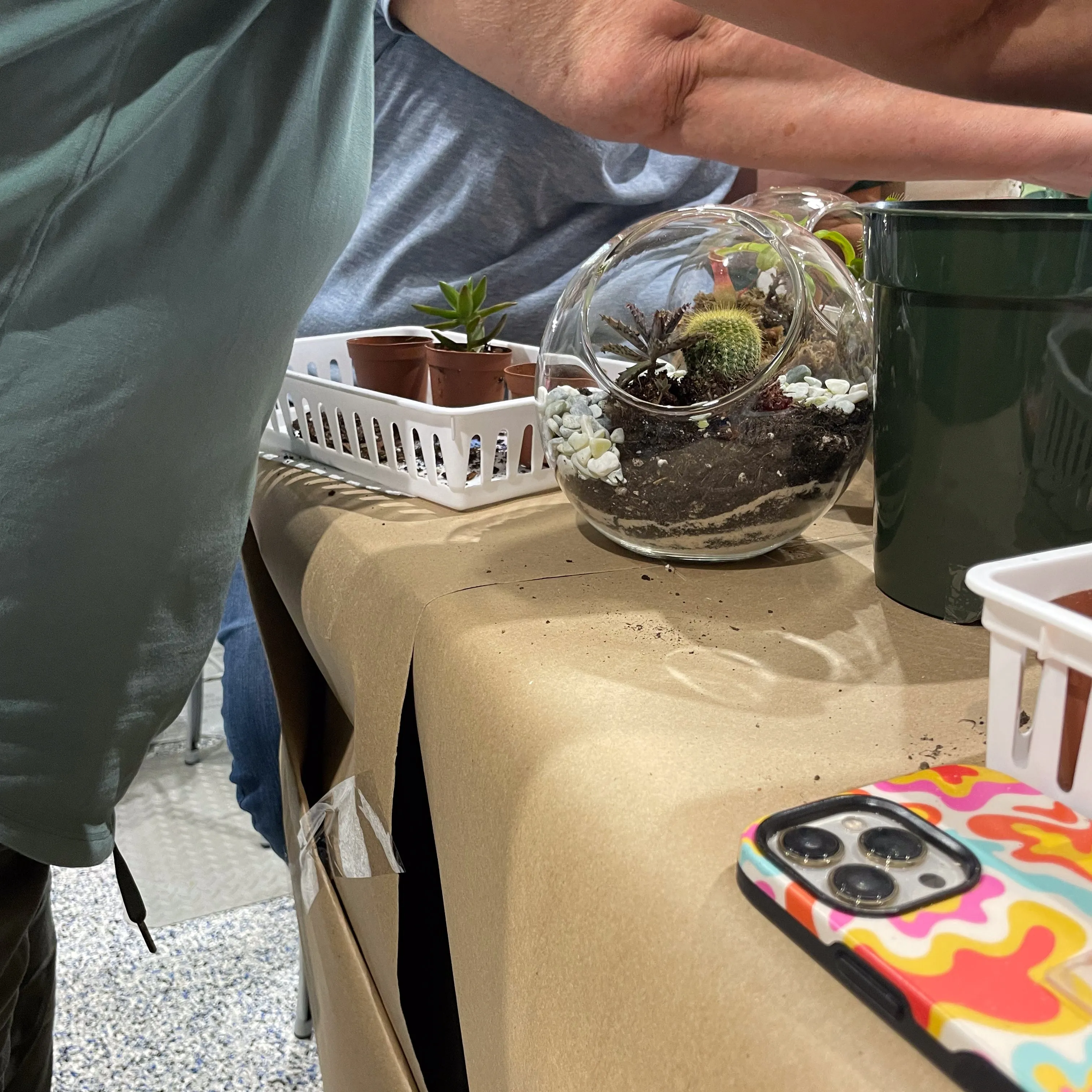 Terrarium Workshop - Thursday, January 23rd, 2025 at 6:00 pm