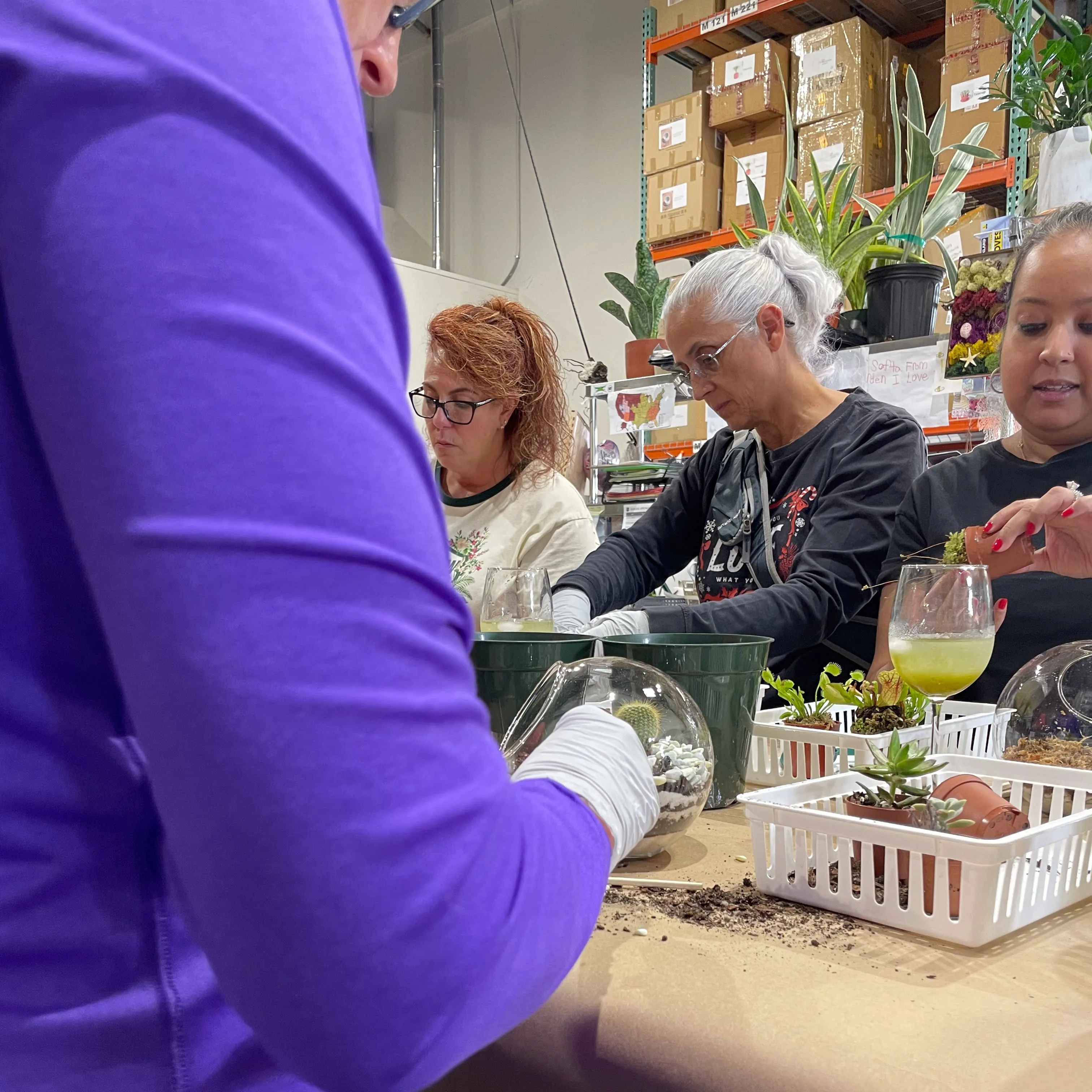 Terrarium Workshop - Thursday, January 23rd, 2025 at 6:00 pm