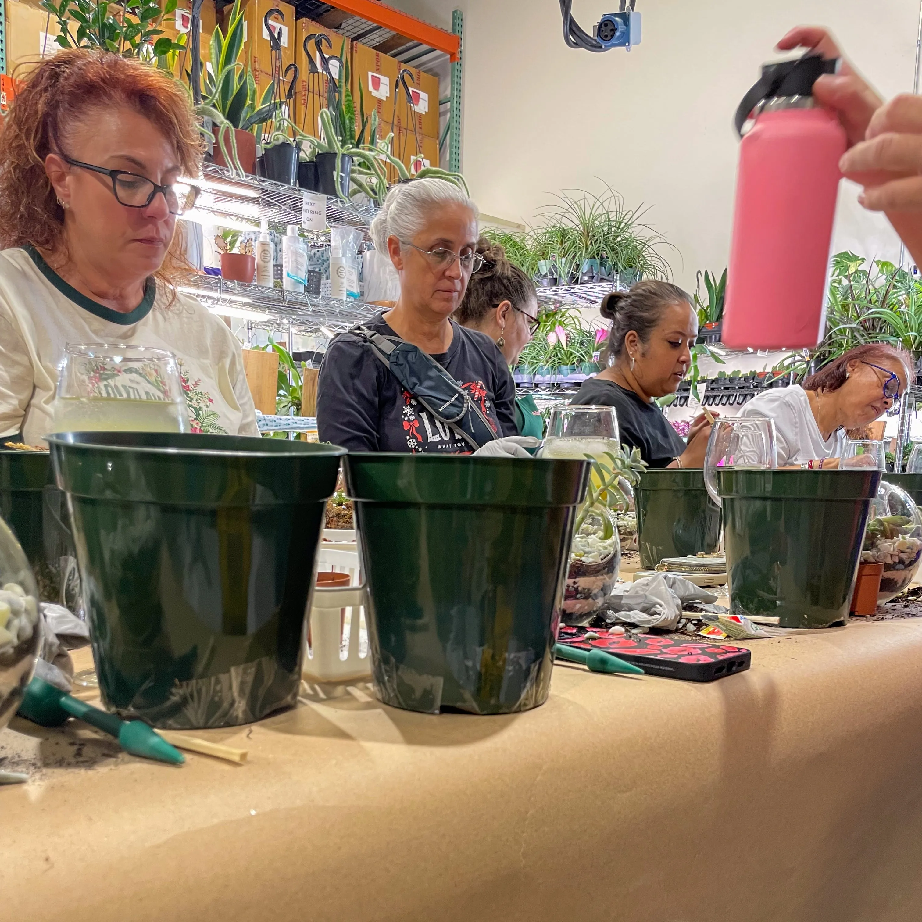 Terrarium Workshop - Thursday, January 23rd, 2025 at 6:00 pm