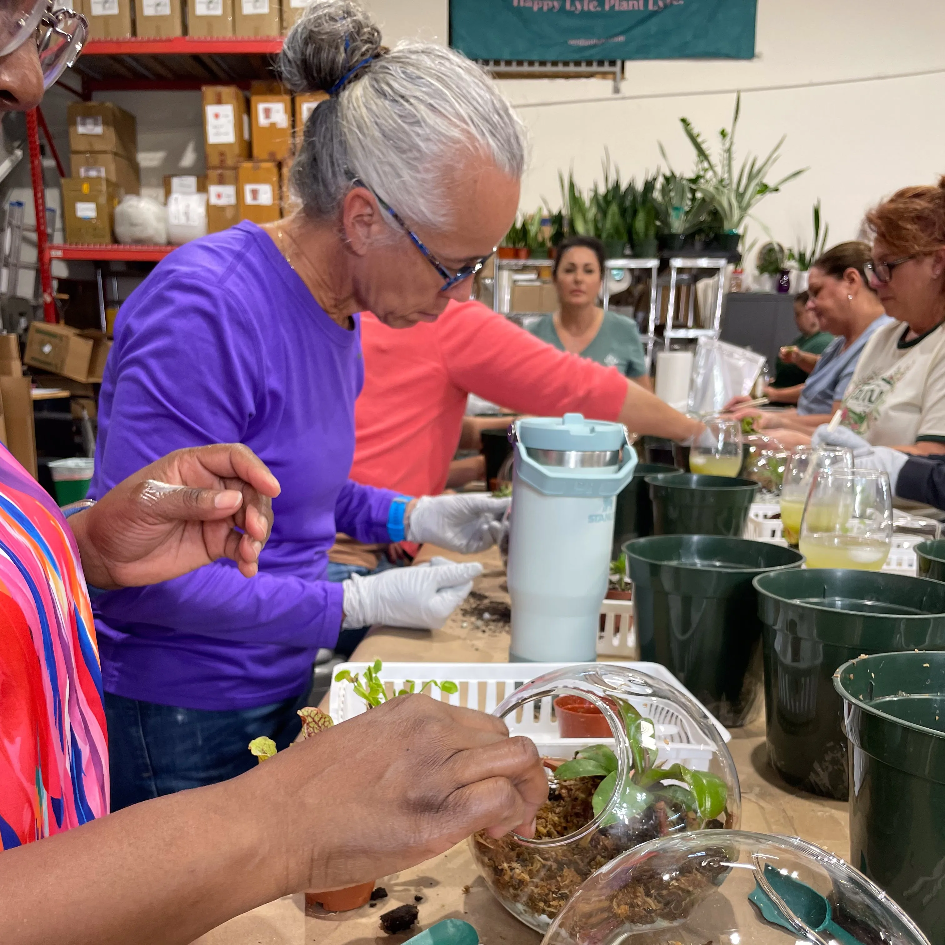 Terrarium Workshop - Thursday, January 23rd, 2025 at 6:00 pm